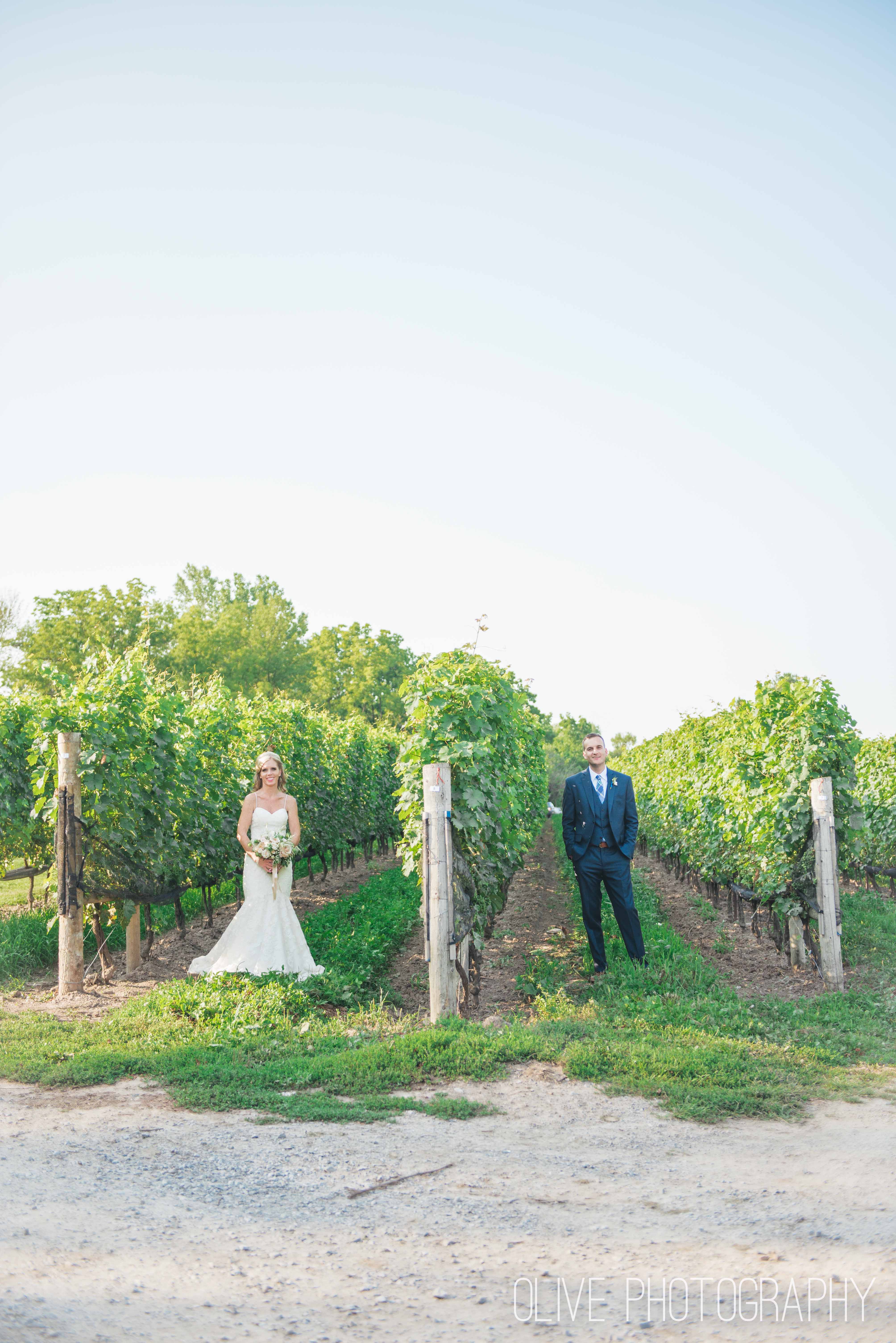 Niagara Vineyard wedding