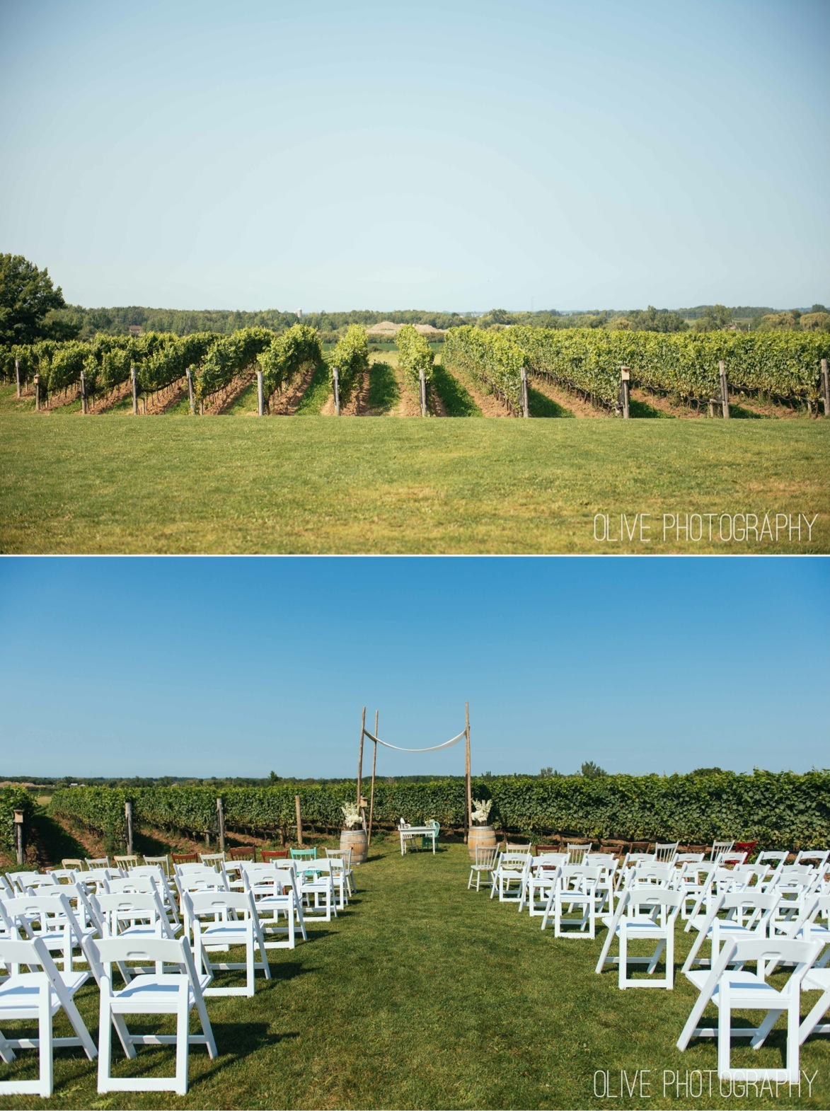 Ravine Vineyard wedding