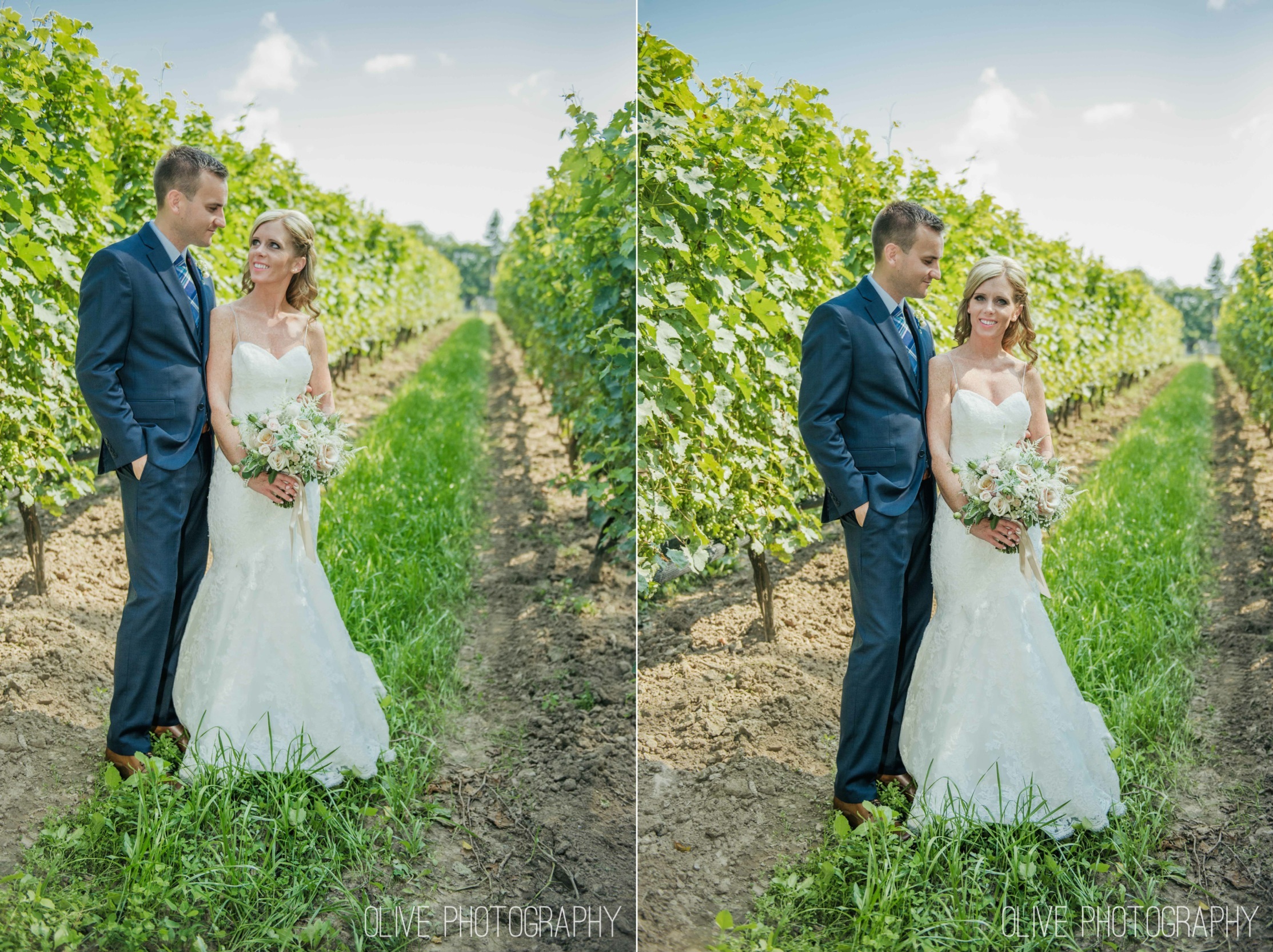 Niagara Vineyard wedding