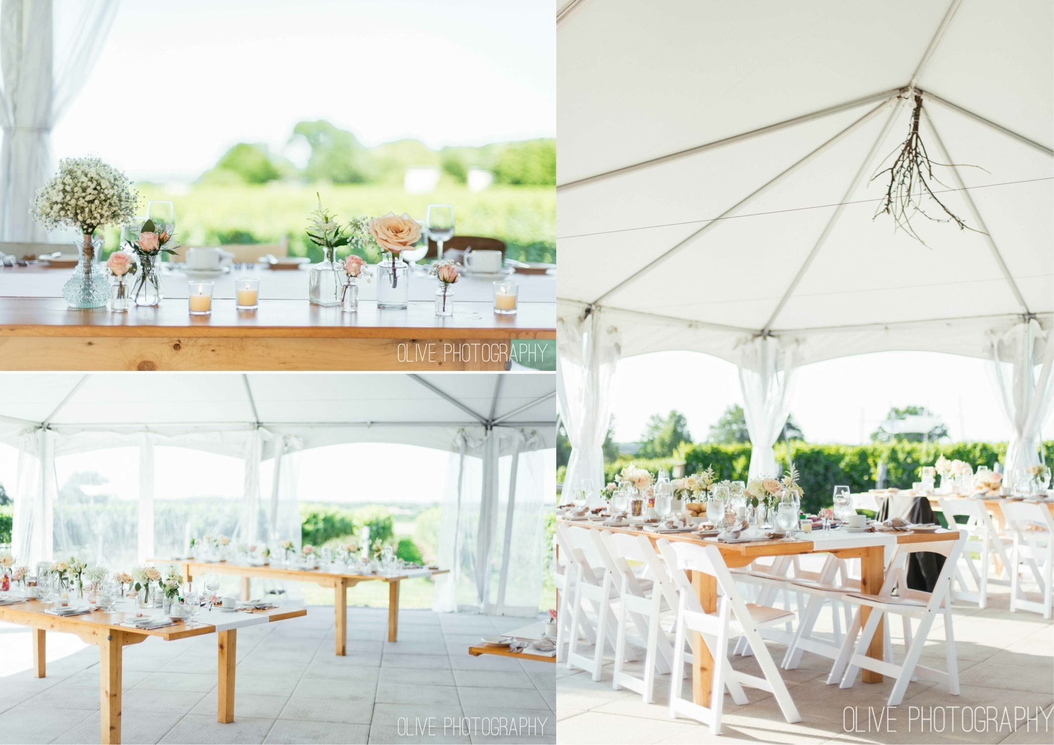 Ravine Vineyard wedding