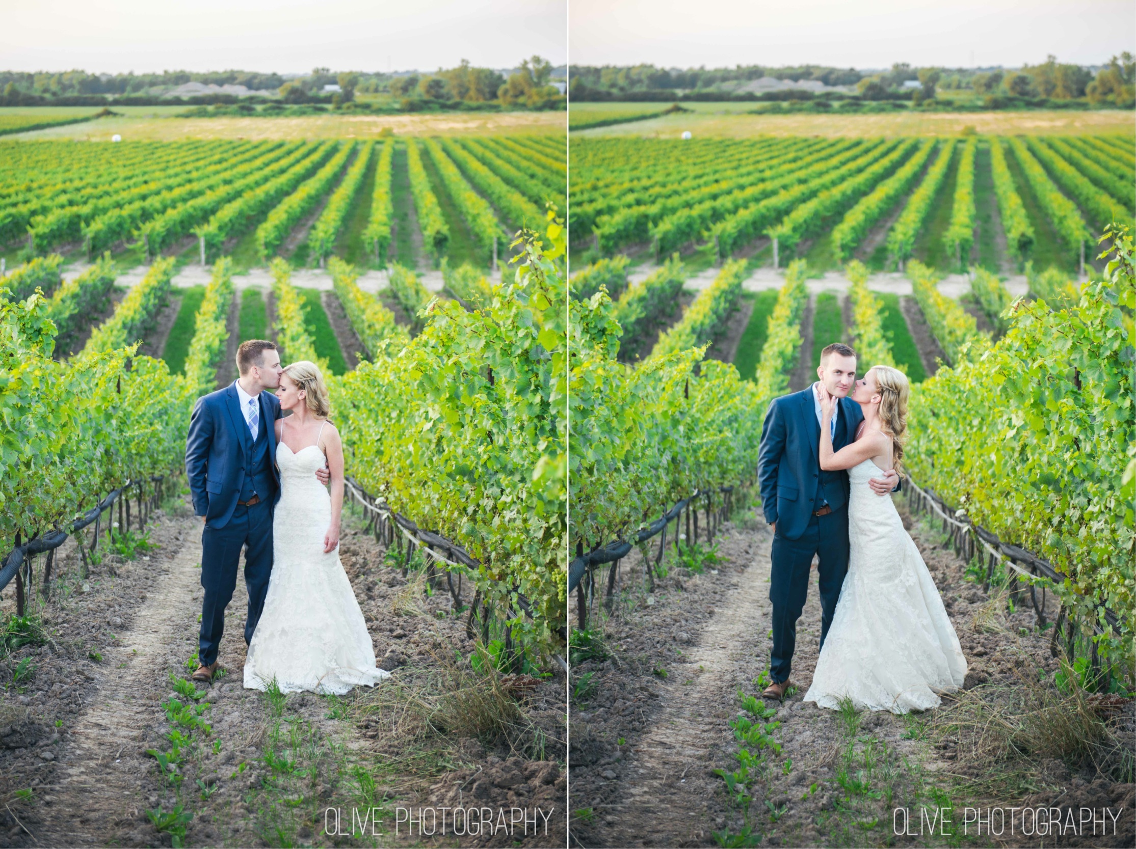 Ravine Vineyard wedding