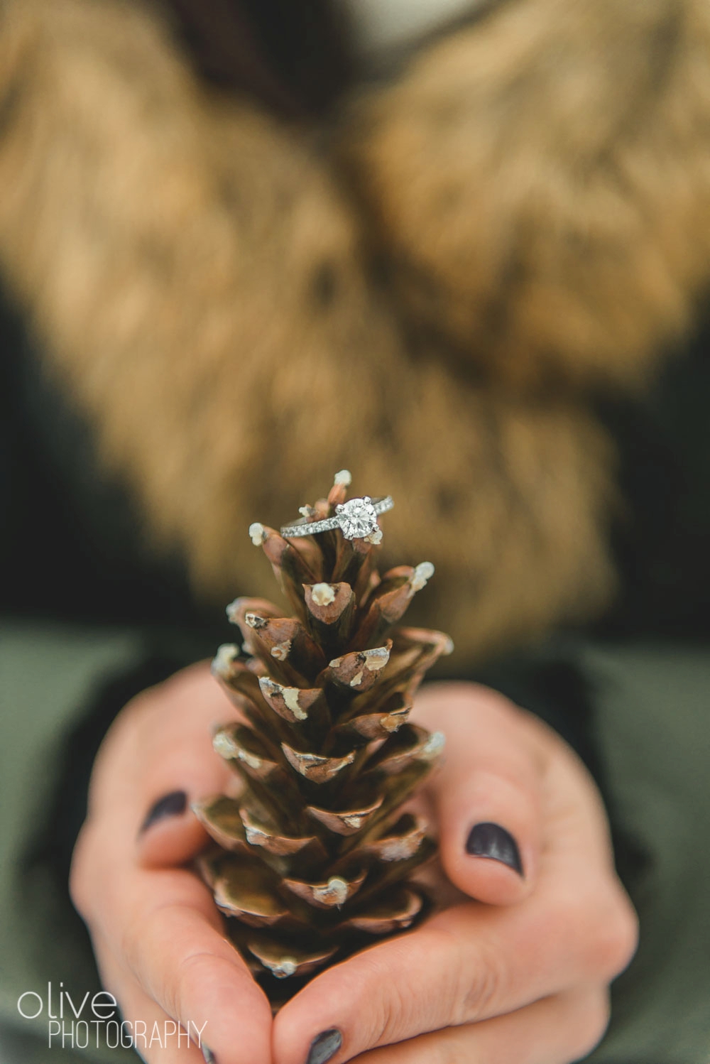 Toronto Winter Engagement Photos