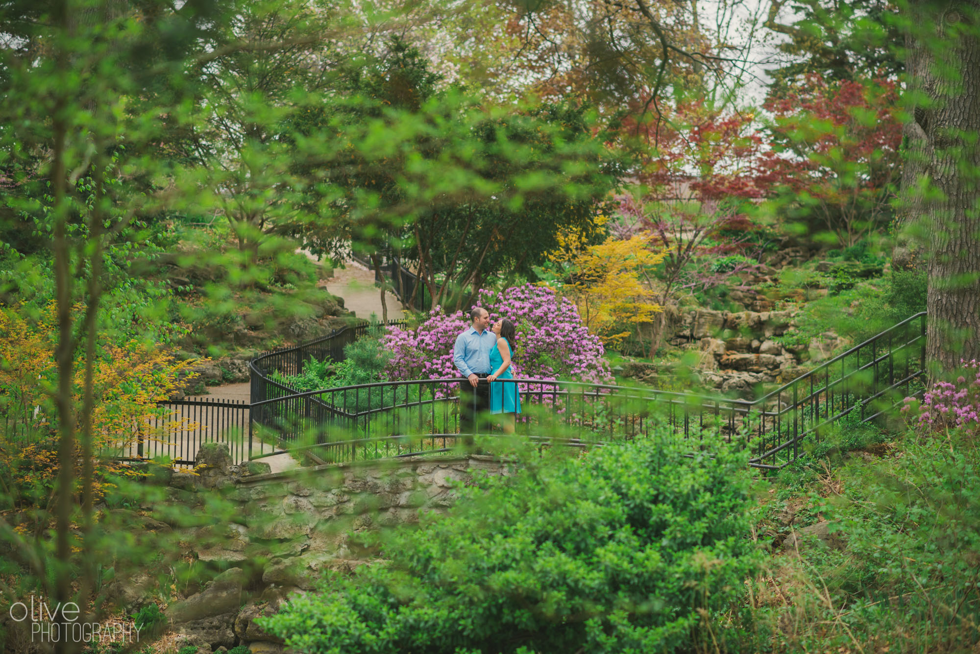 High Park engagement photos - Olive Photography Toronto