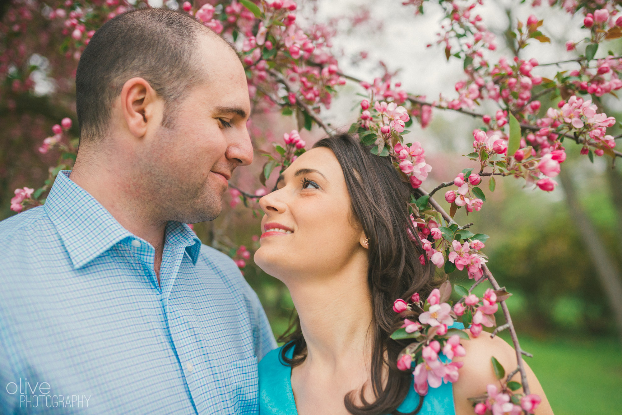 cherry blossom engagement session - Olive Photography Toronto