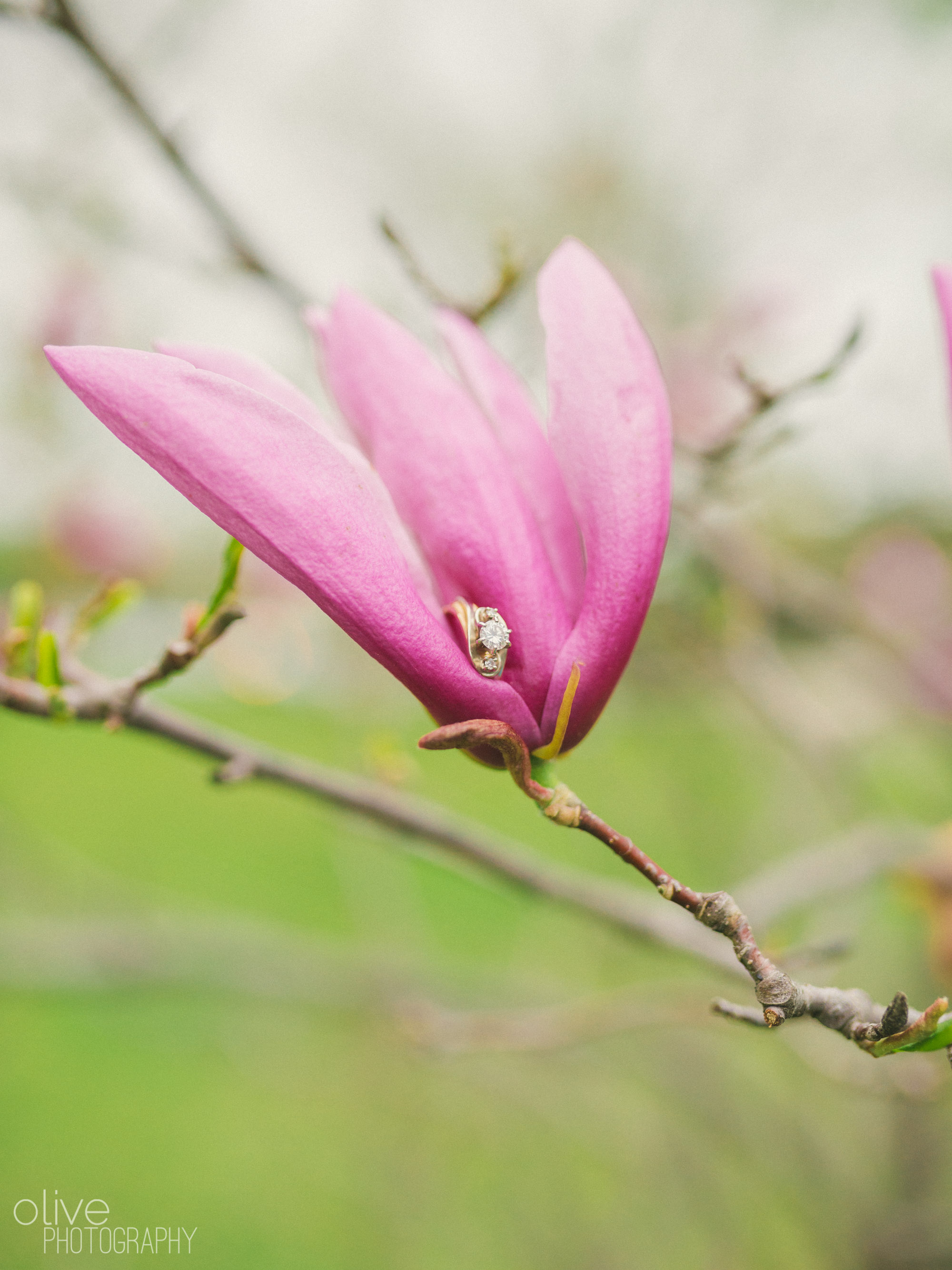 Sakura engagement session - Olive Photography