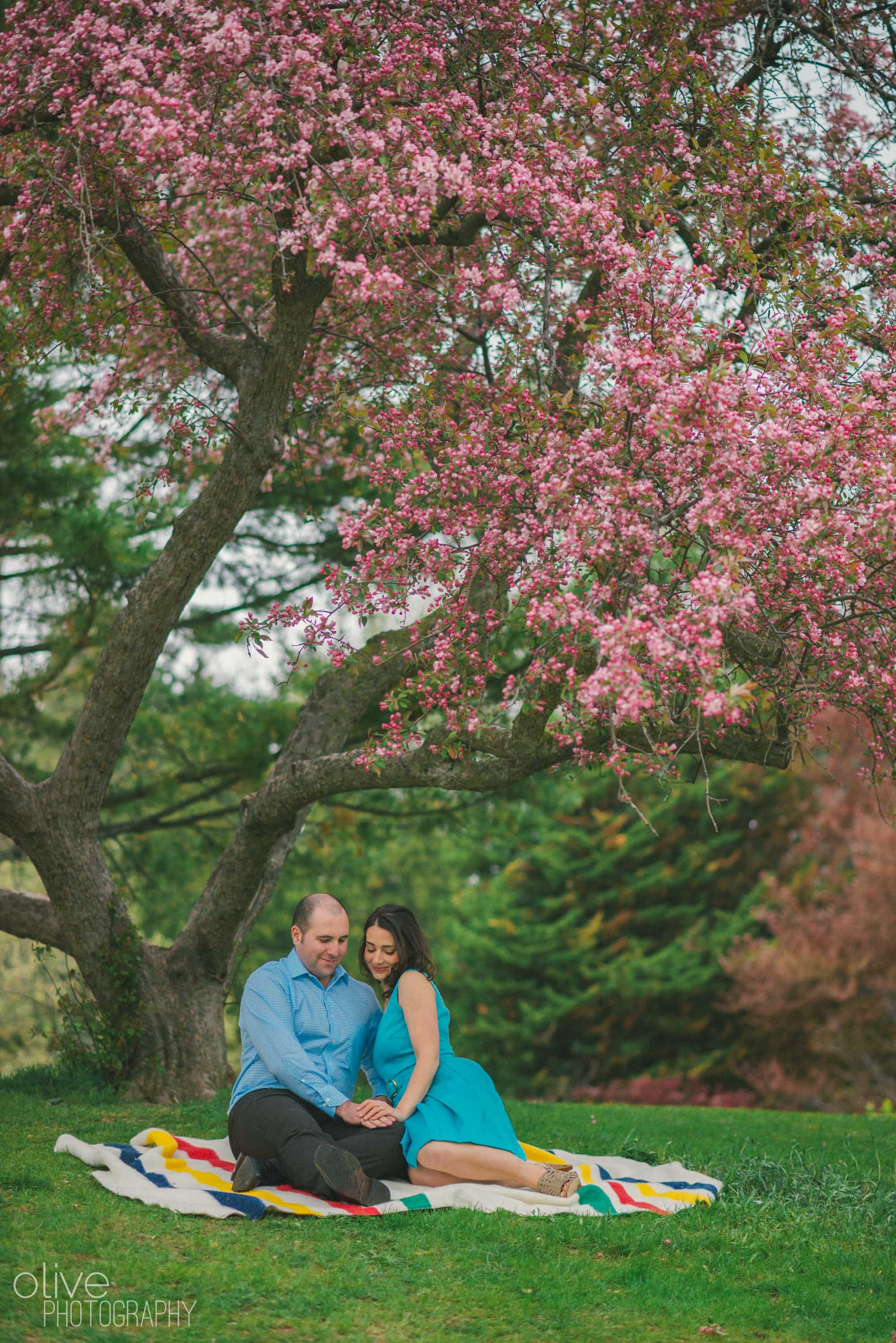 cherry blossom engagement session - Olive Photography Toronto
