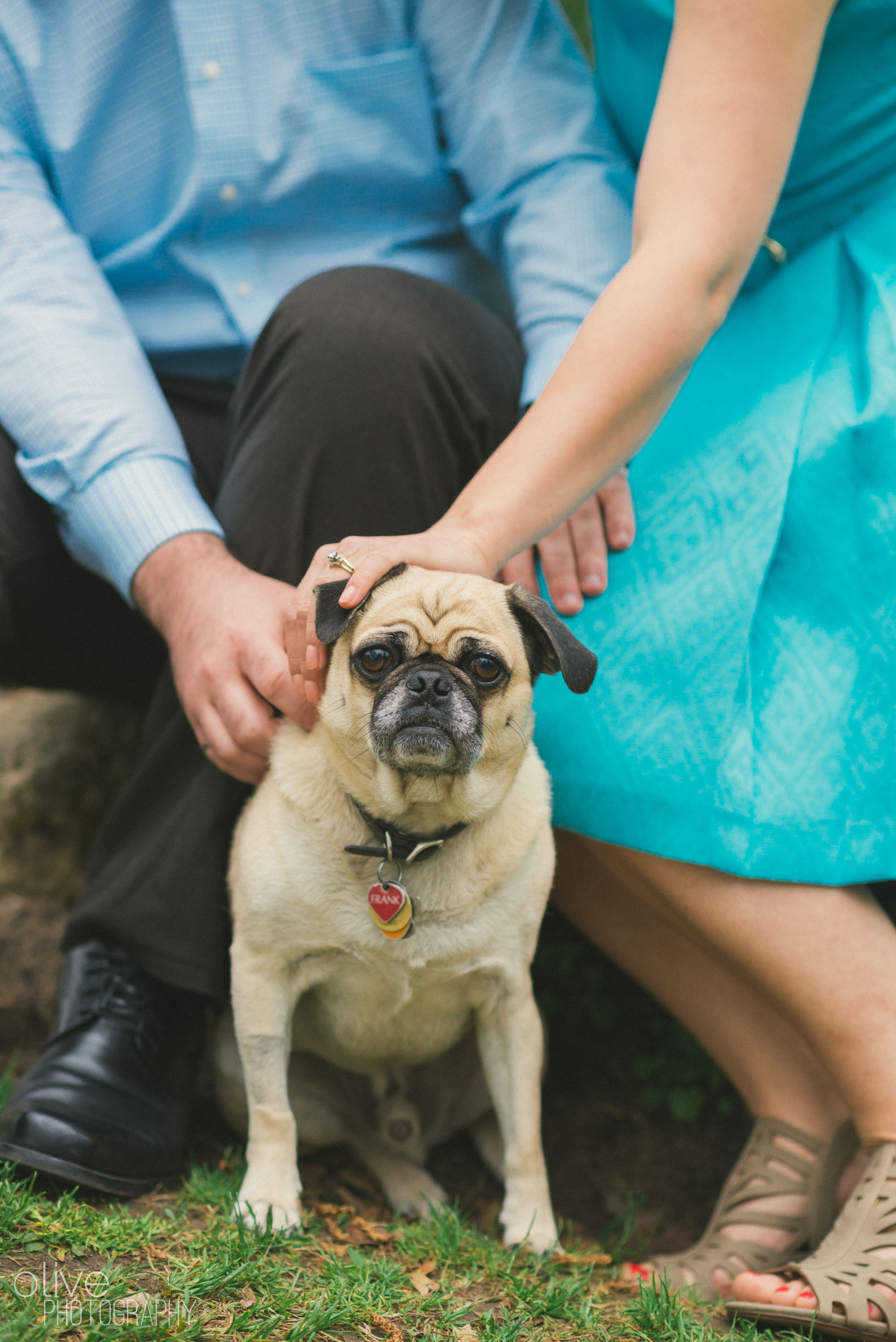 High Park engagement session - Olive Photography