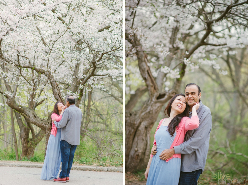 High Park Cherry Blossom Engagement - Olive Photography Toronto