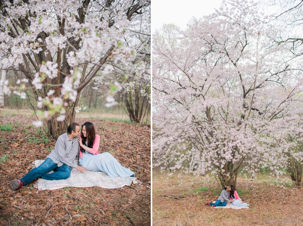 High Park Cherry Blossom Engagement - Olive Photography Toronto