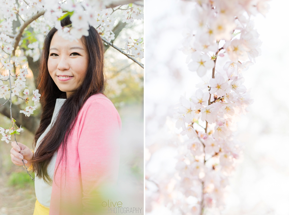 High Park Cherry Blossom Engagement - Olive Photography Toronto