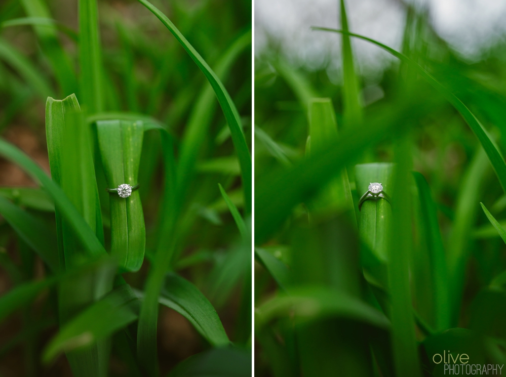 High Park Cherry Blossom Engagement - Olive Photography Toronto