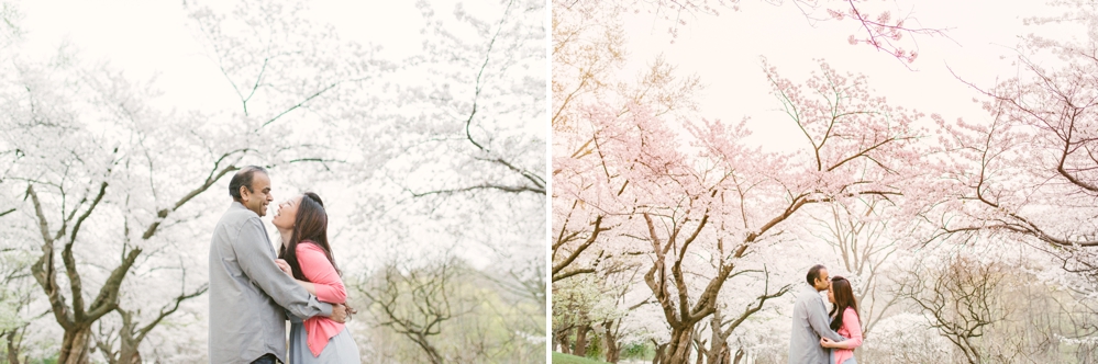 High Park Cherry Blossom Engagement - Olive Photography Toronto