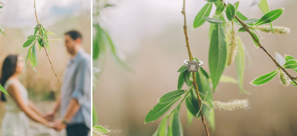 High Park engagement photos - Olive Photography