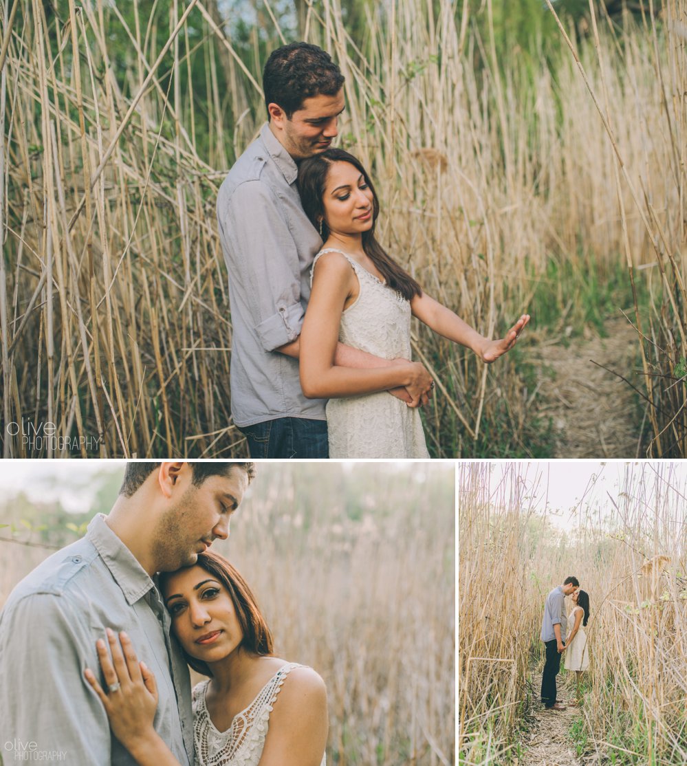 High Park engagement photos - Olive Photography