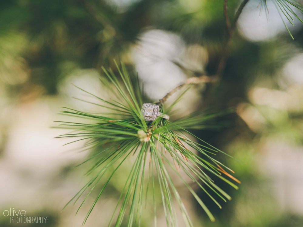 High Park engagement photos - Olive Photography