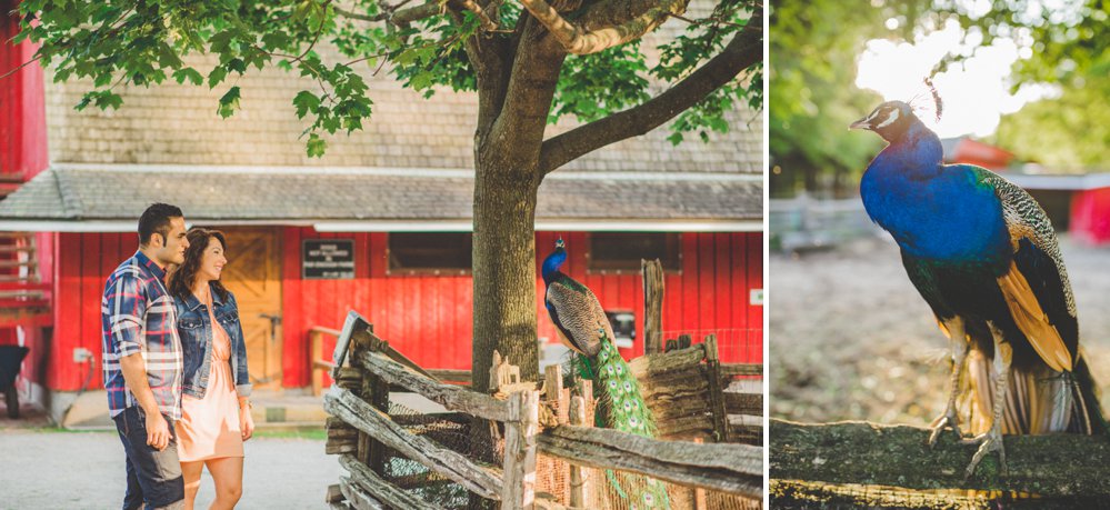 Toronto Island Engagement Photos - Olive Photography