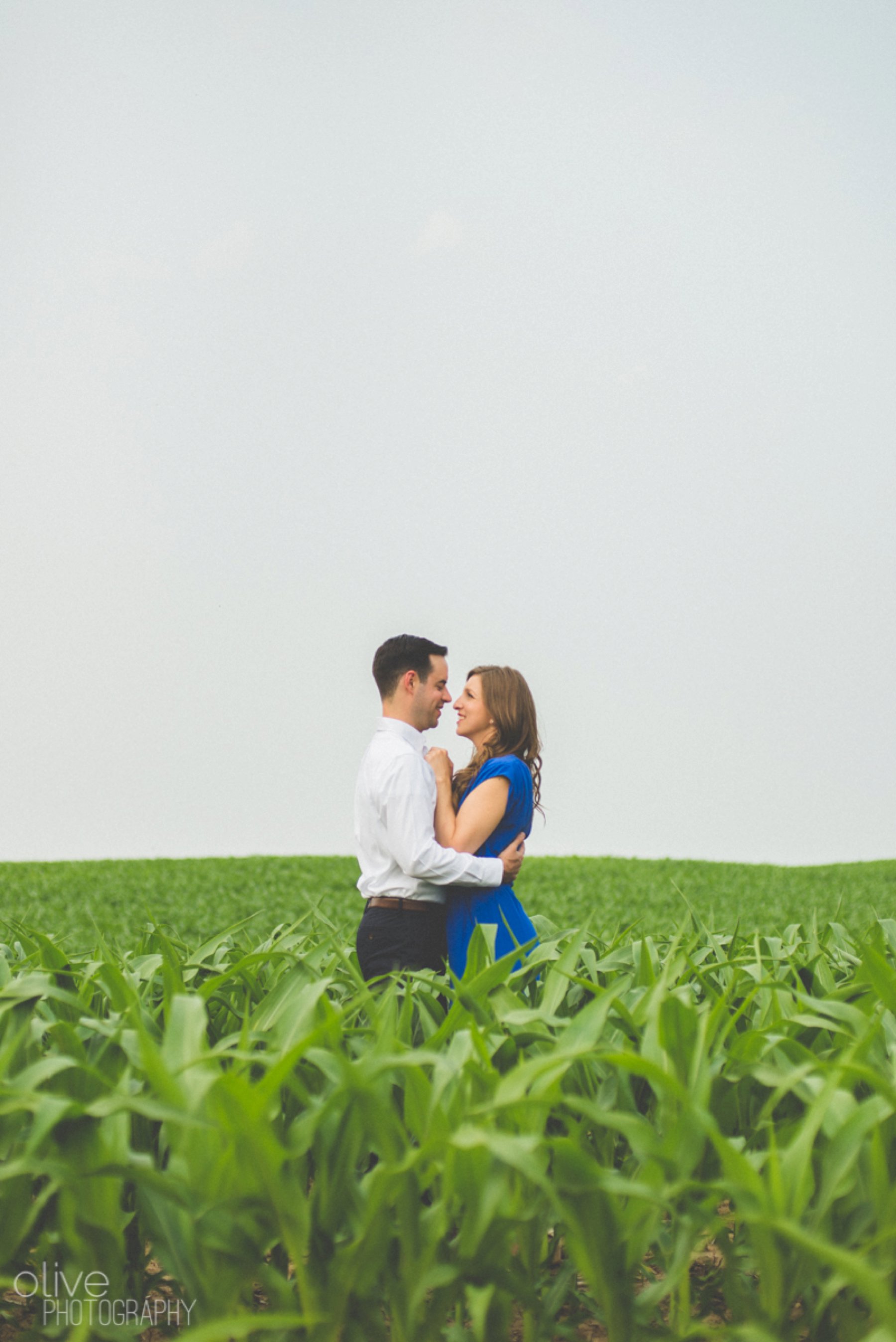 Toronto Wedding Photographer - Olive Photography_0803