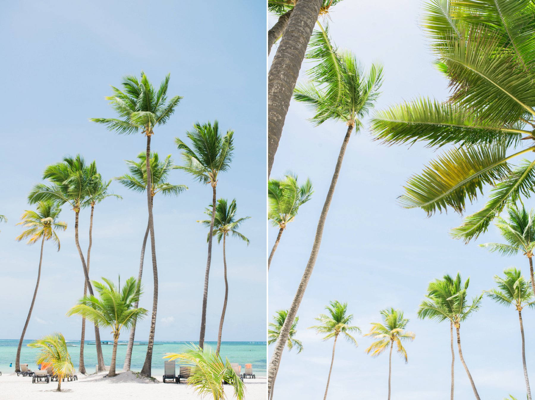 Toronto Wedding Photographer - Punta Cana Destination Wedding_0732