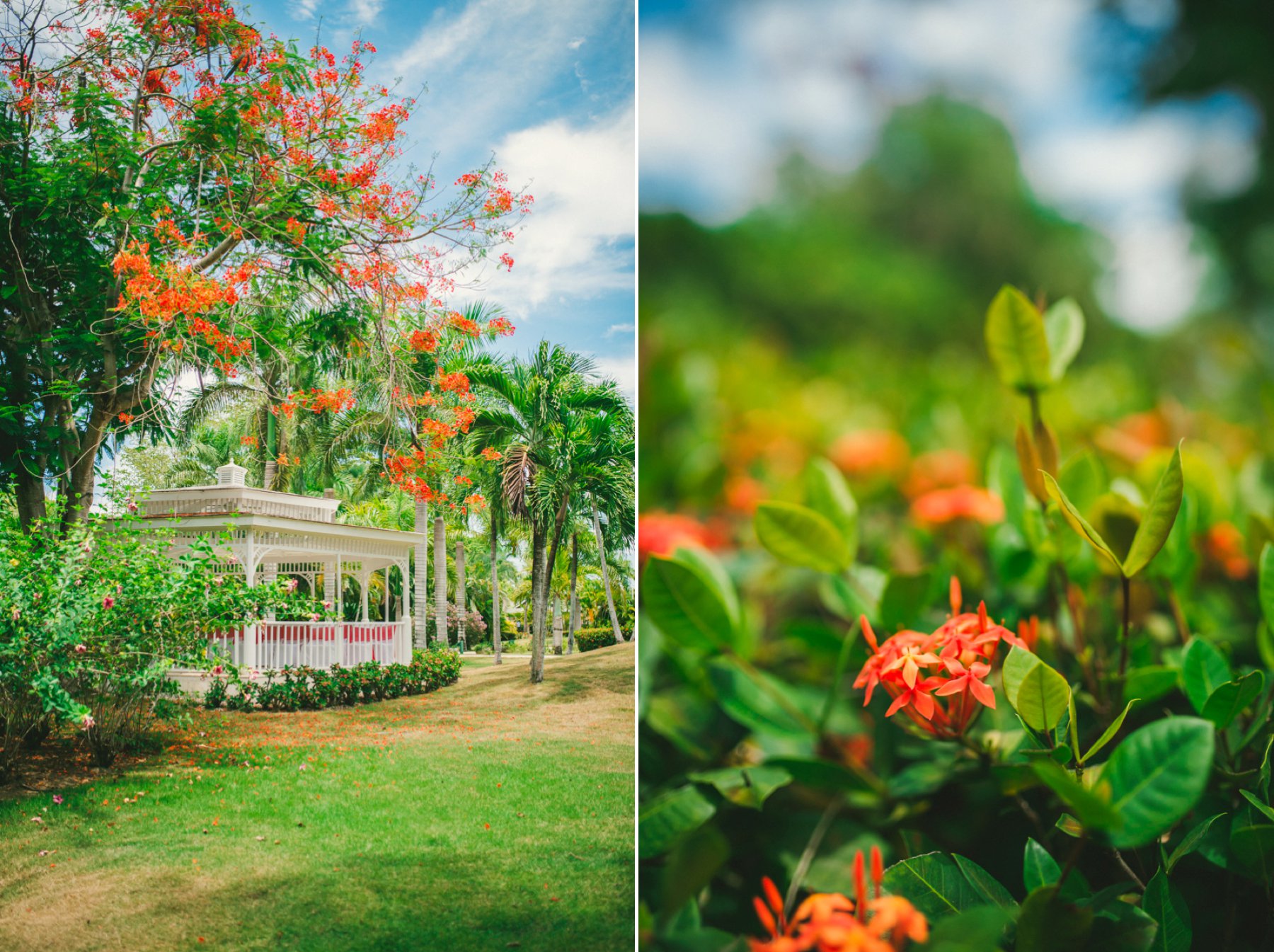 Toronto Wedding Photographer - Punta Cana Destination Wedding_0734