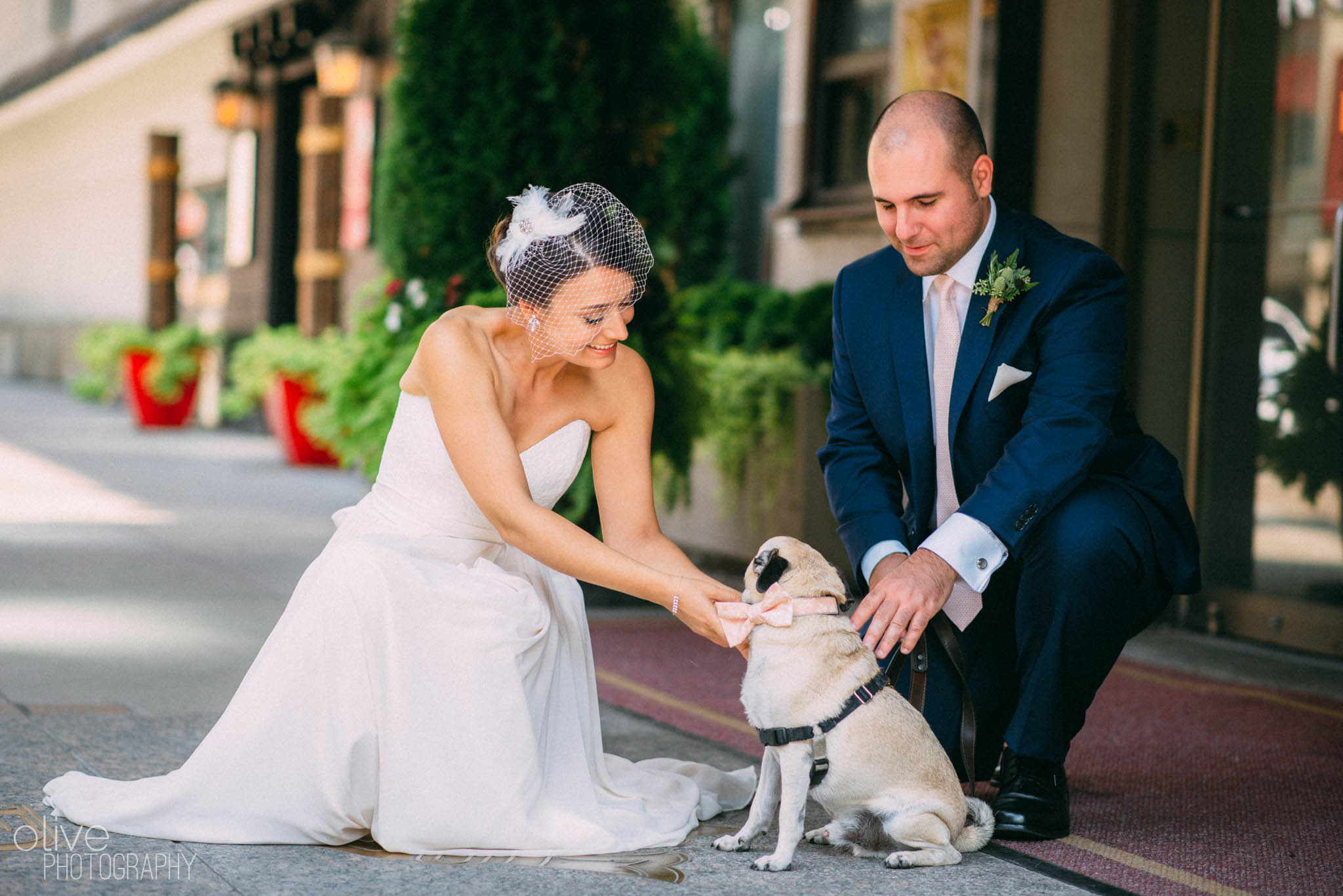 dog wedding photos