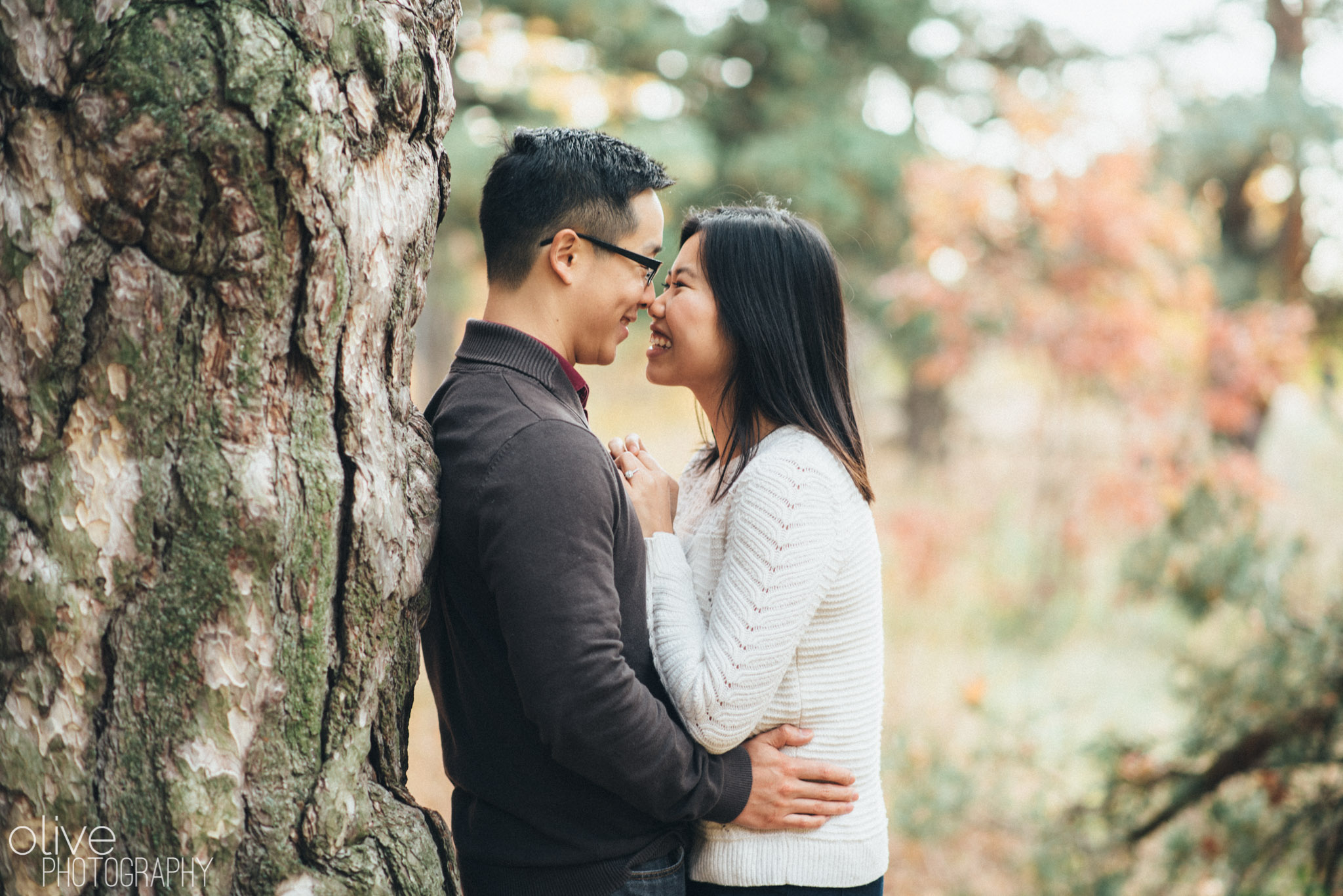 Harry Potter Engagement Photos