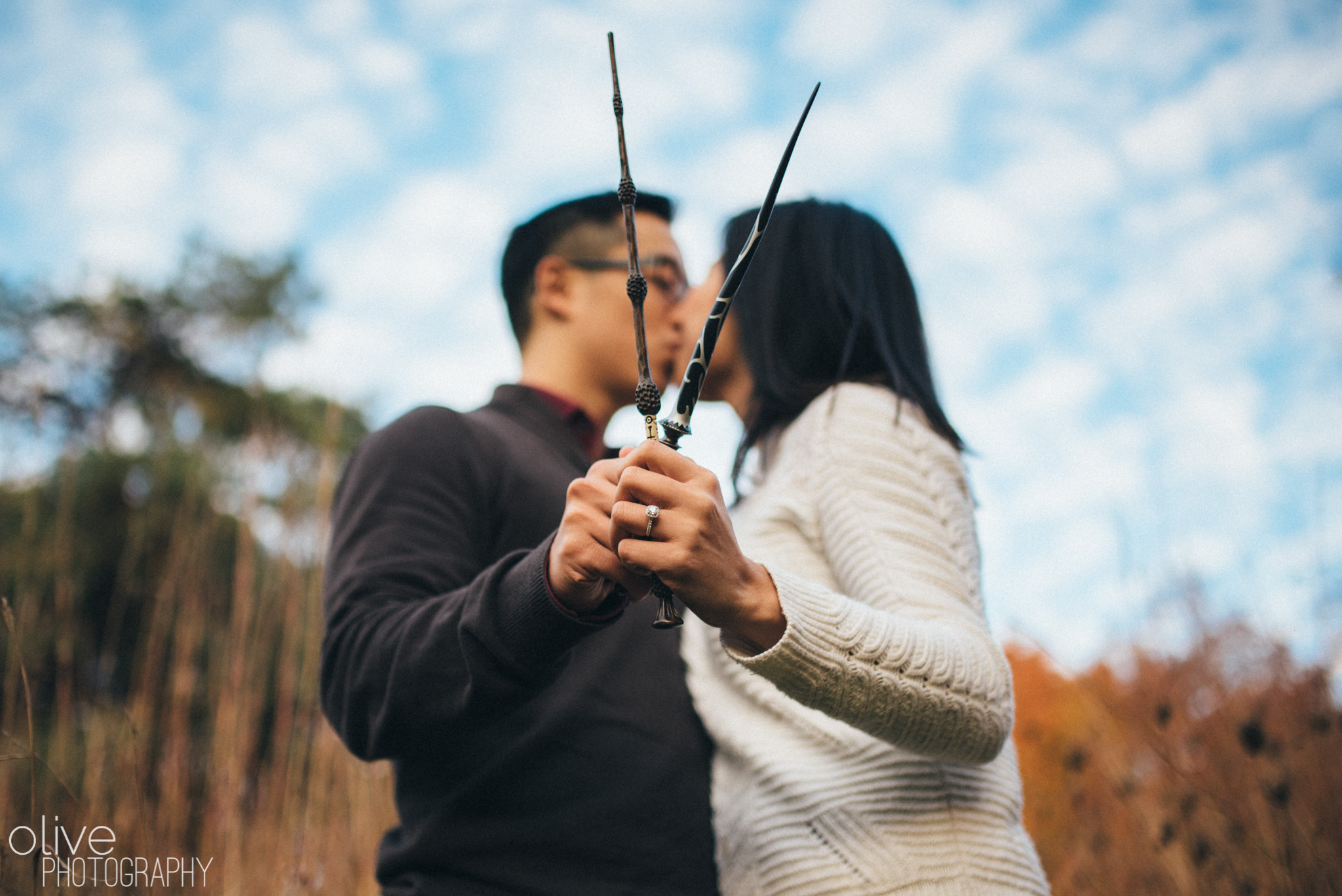 Harry Potter Engagement Photos