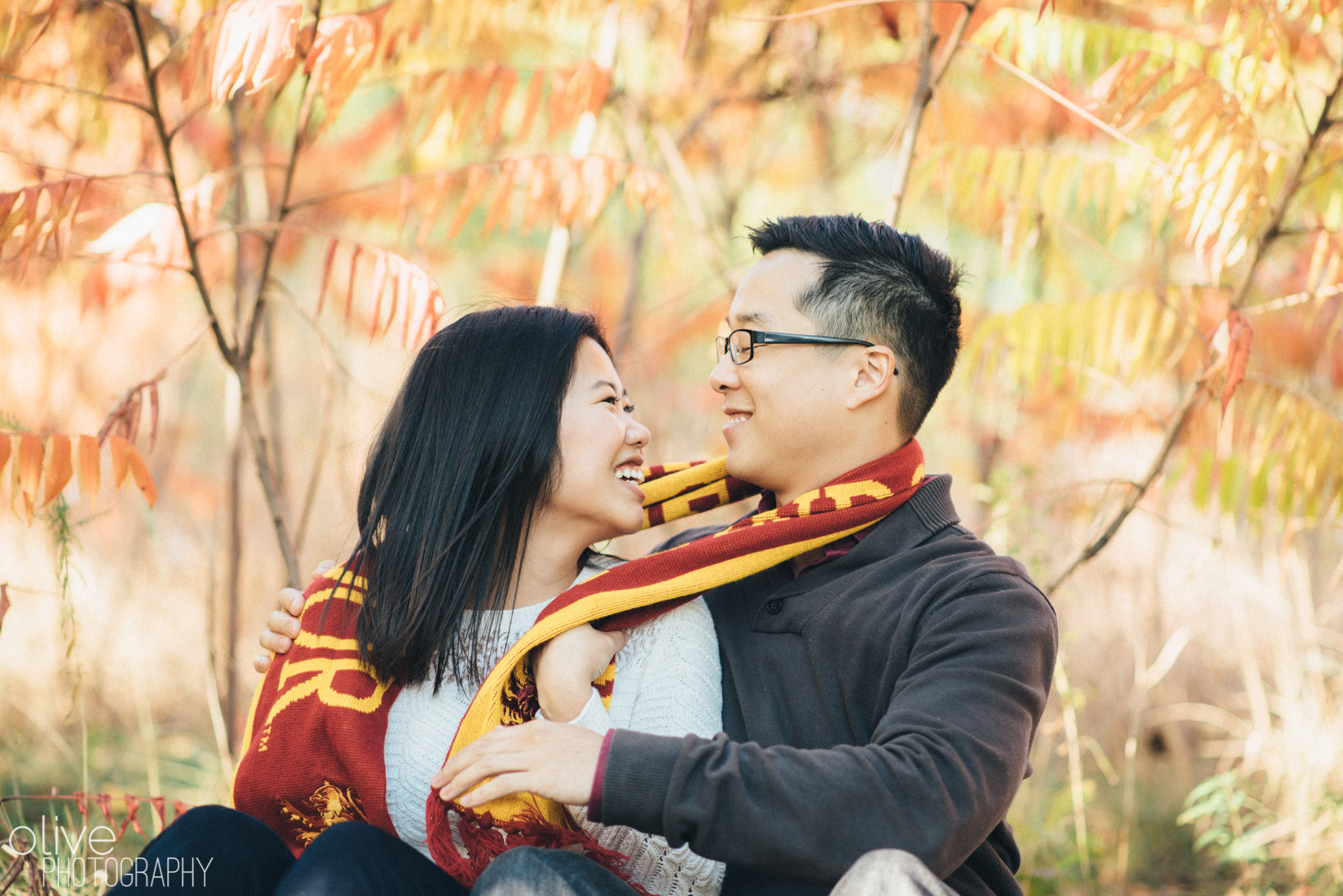 Harry Potter Engagement Photos