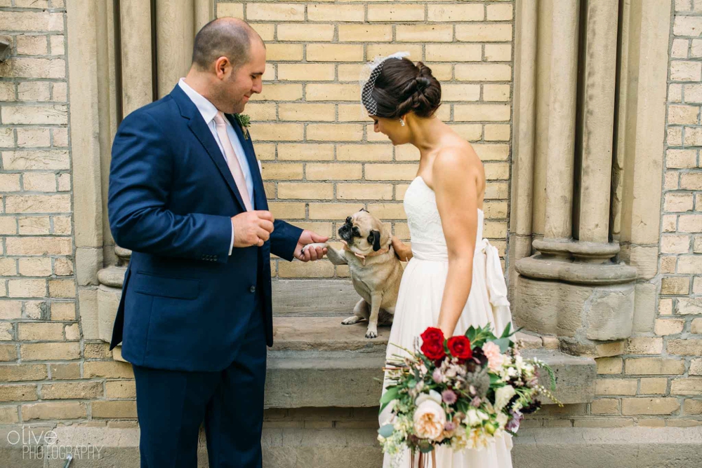 dog wedding photos