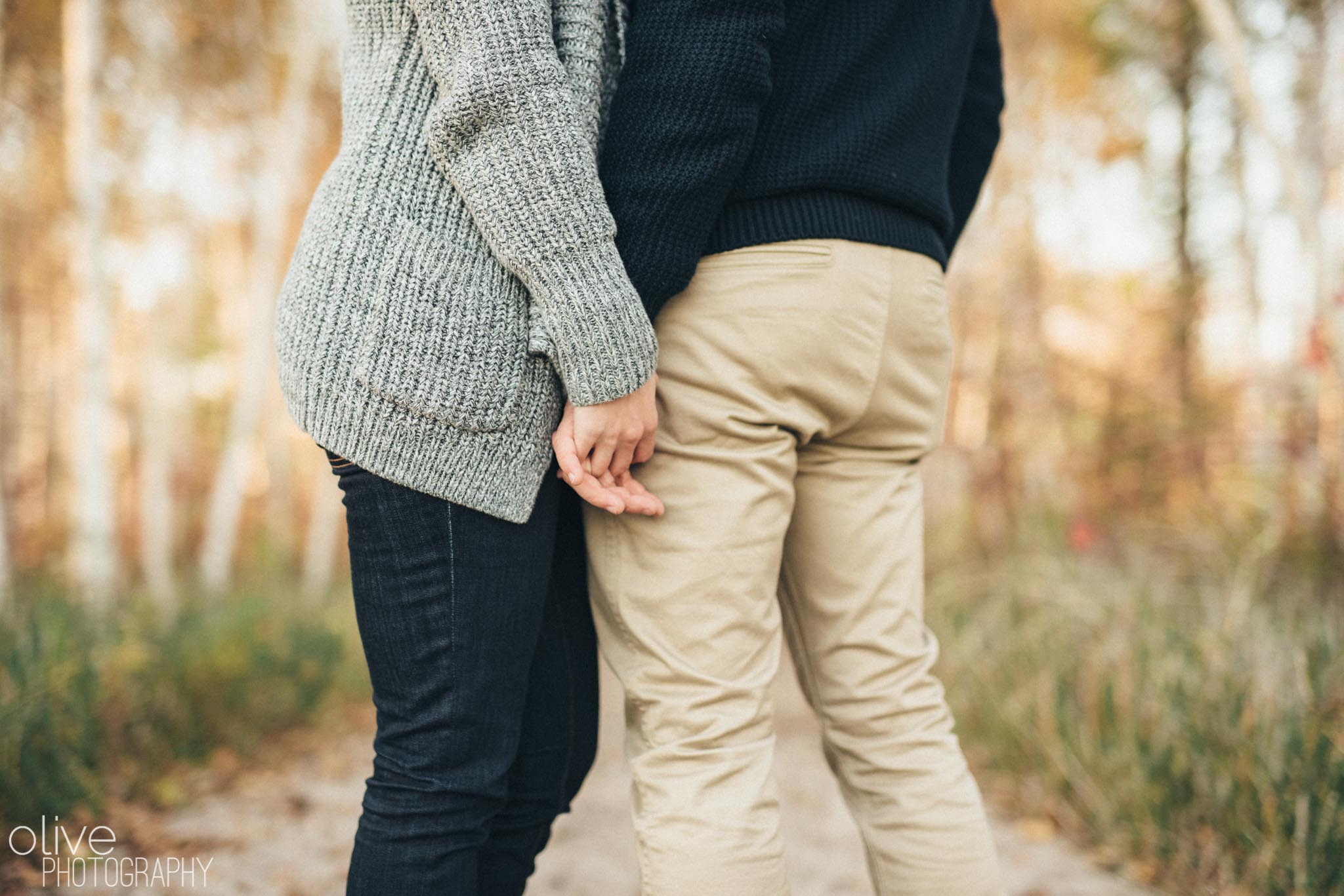 Toronto engagement session