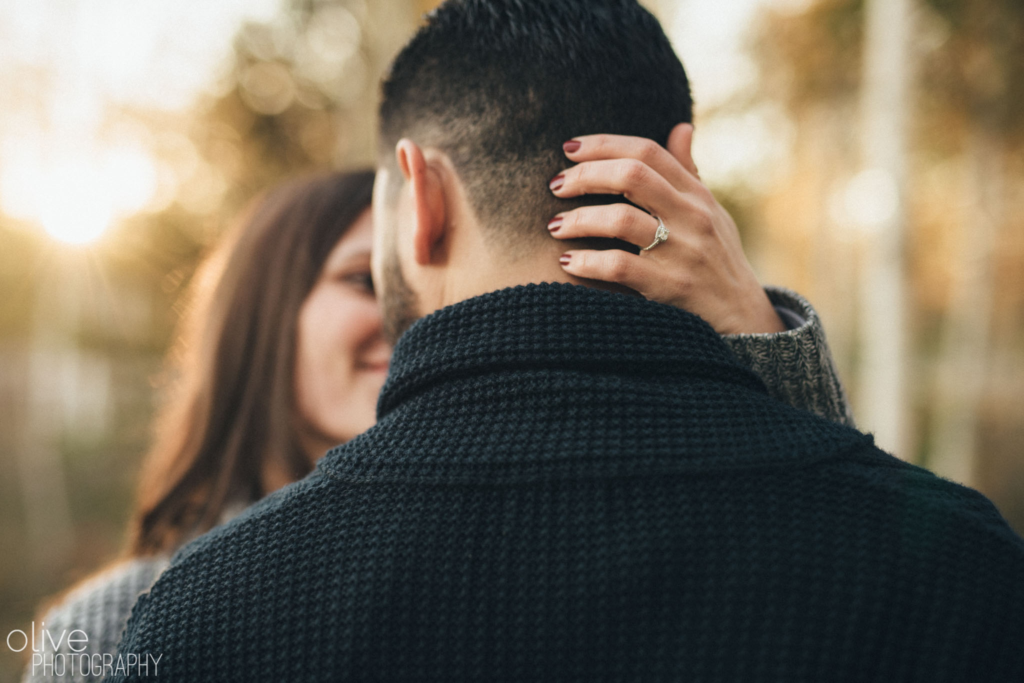 Toronto engagement session