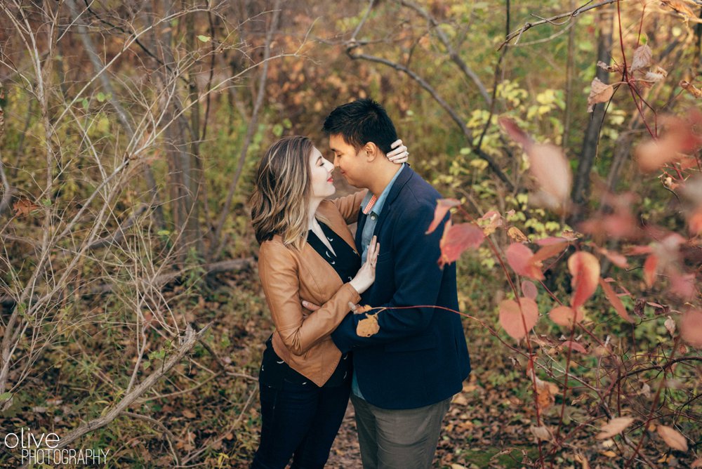 Toronto park engagement