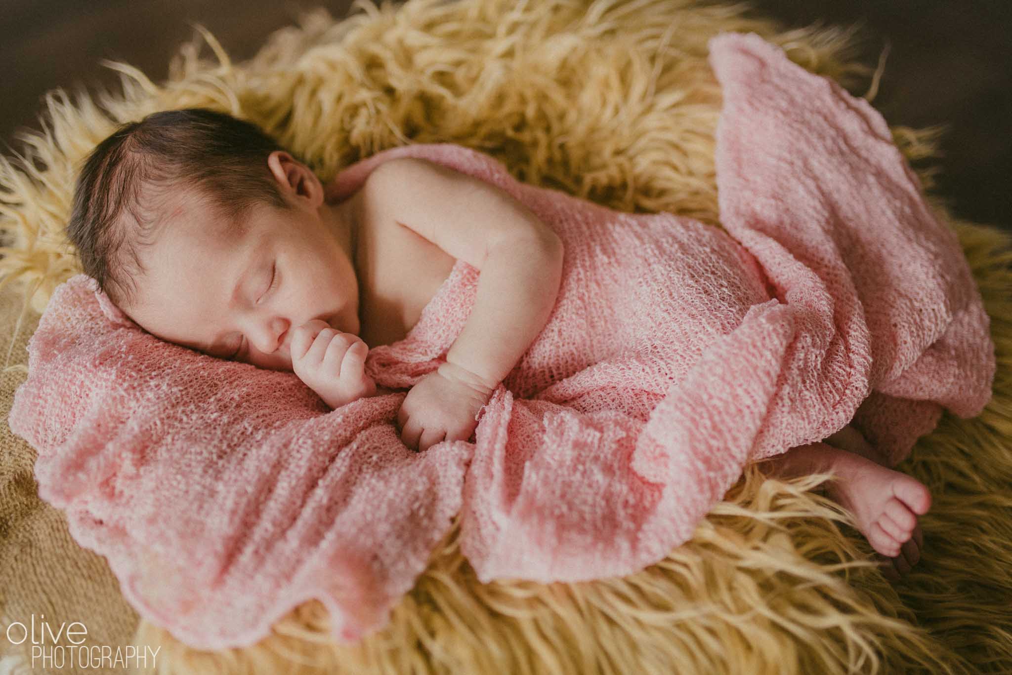 Toronto Family Photography - Olive Photography