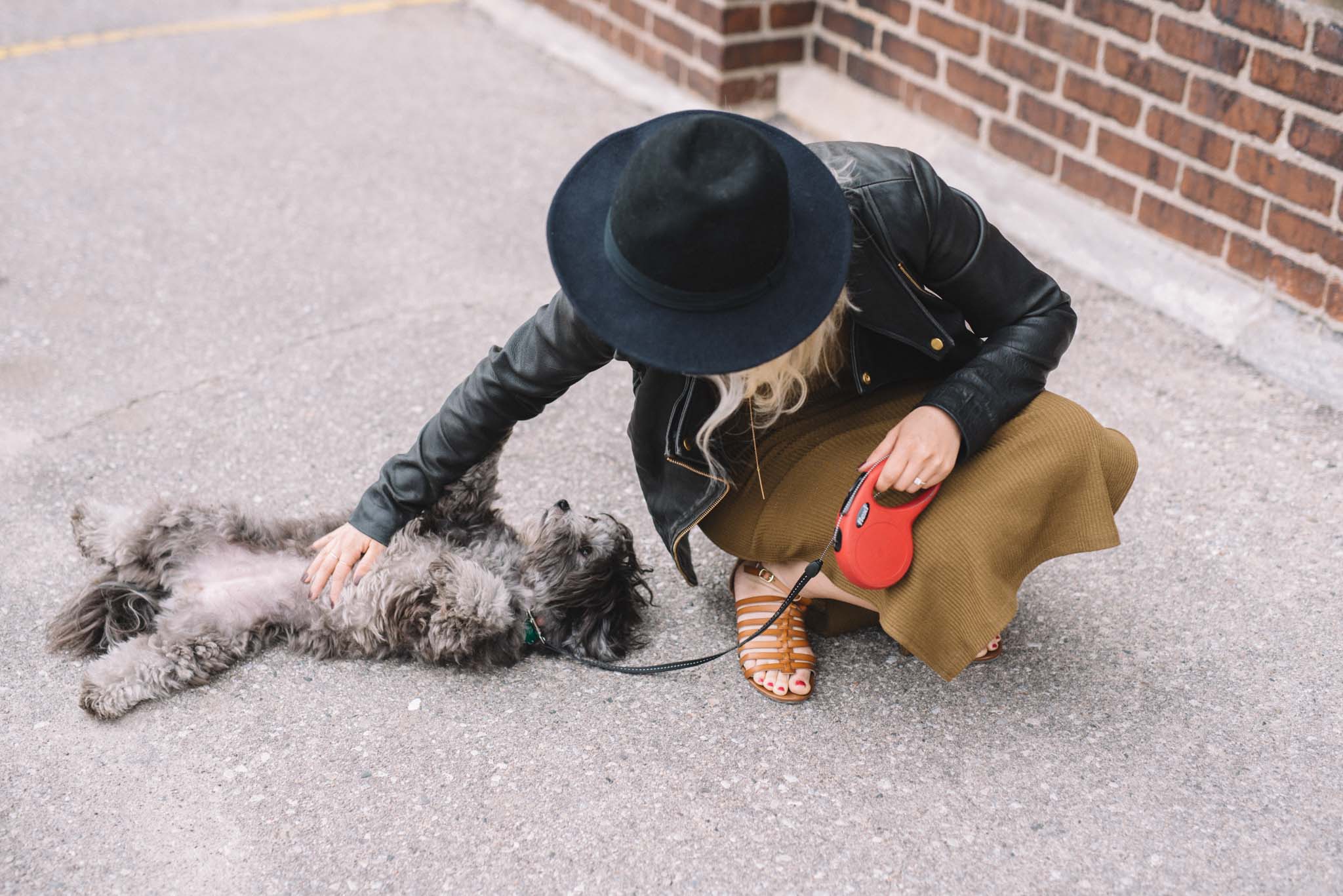 Lifestyle Personal Brand Photos with Dog Toronto | Photo: Olive Photography