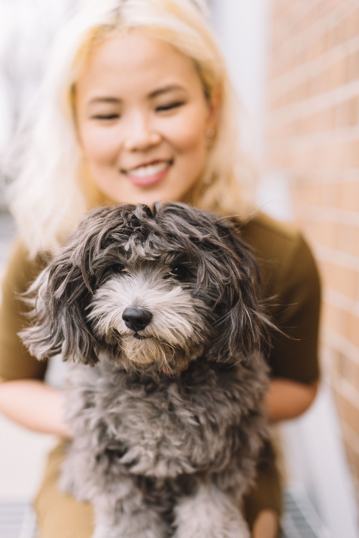 Personal Brand Photos with Dog Toronto | Photo: Olive Photography