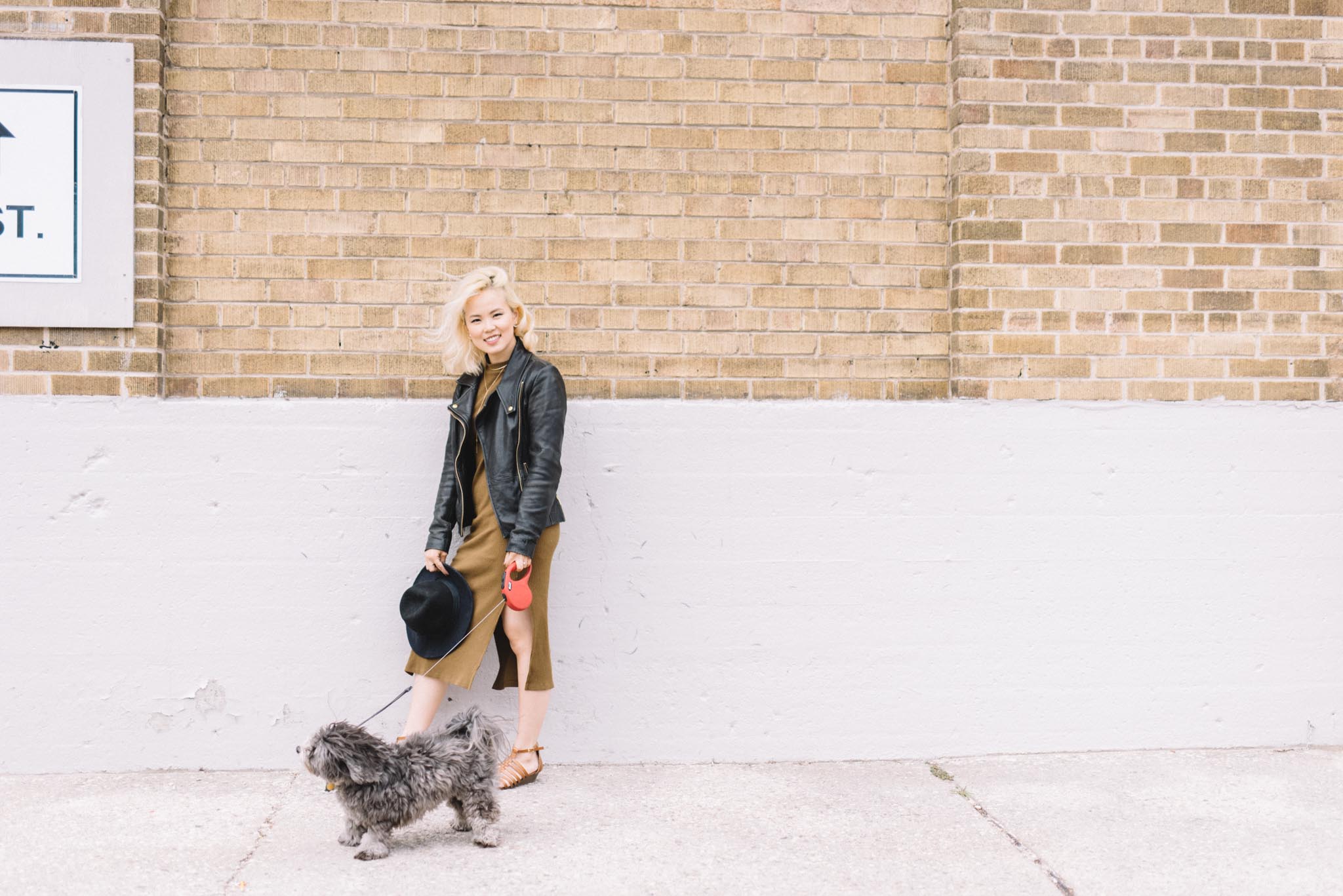 Lifestyle Personal Brand Photos with Dog Toronto | Photo: Olive Photography