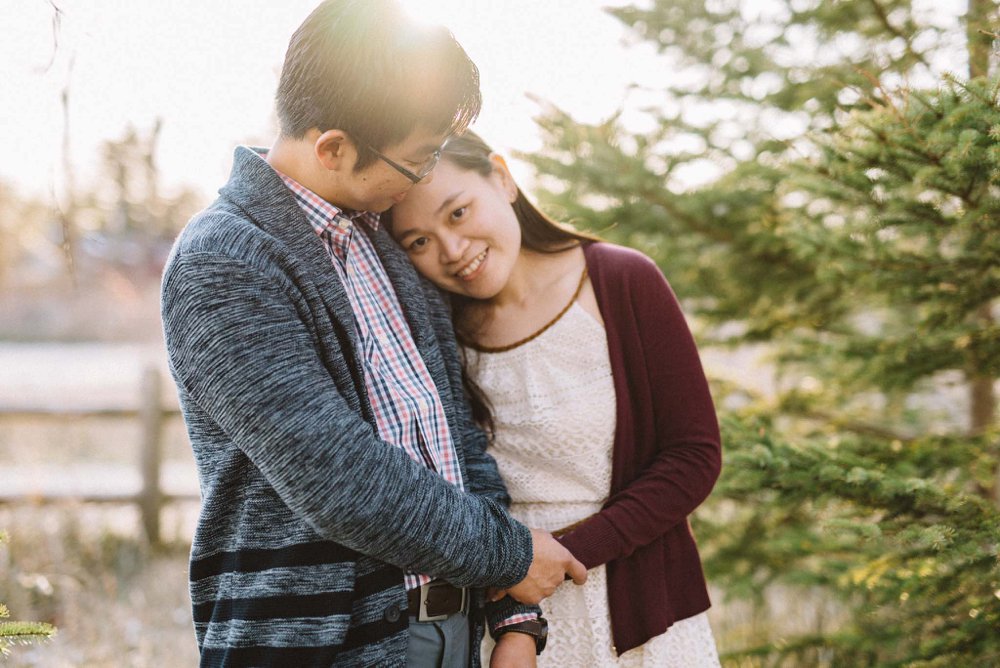 Toronto island engagement