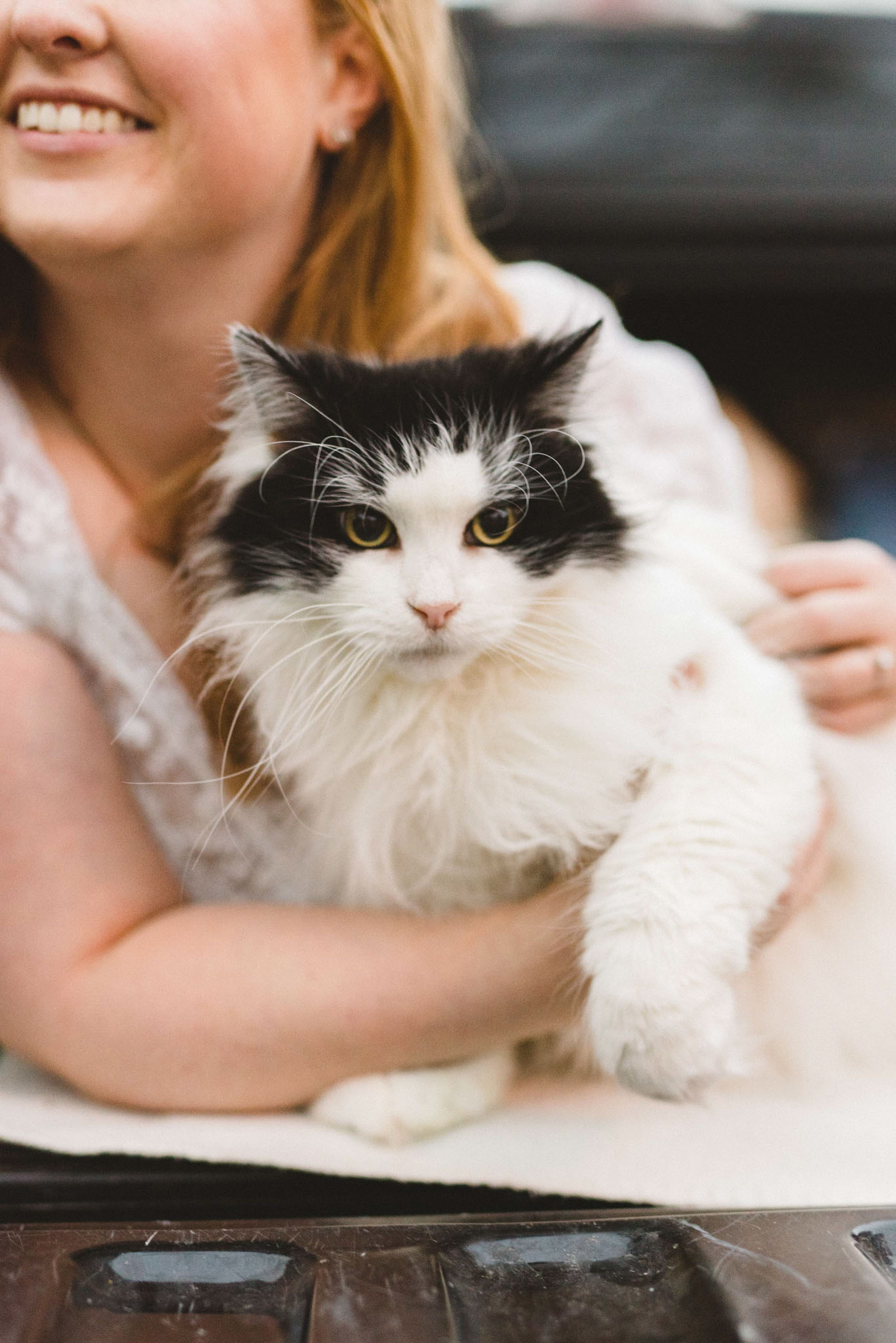 Cat Engagement Photos | Olive Photography