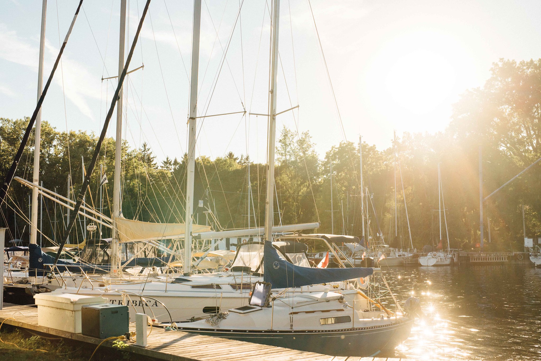 Ward's Island Engagement Session Toronto | Olive Photography