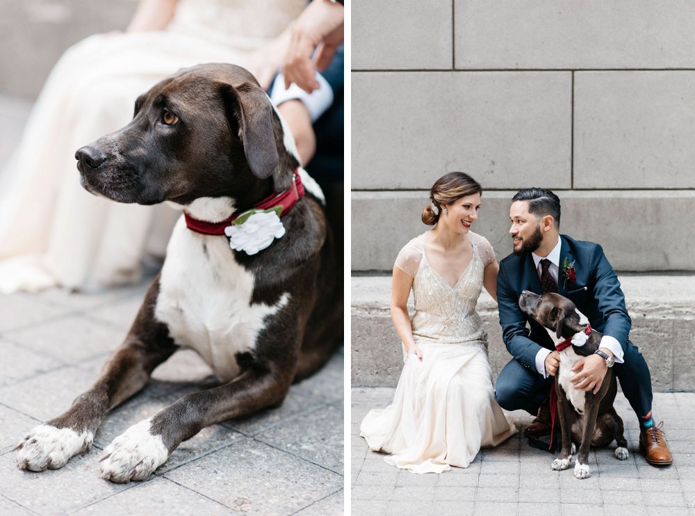 dogs at weddings - Olive Photography Toronto