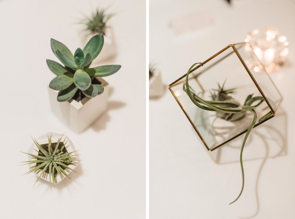 succulent wedding decor | Olive Photography