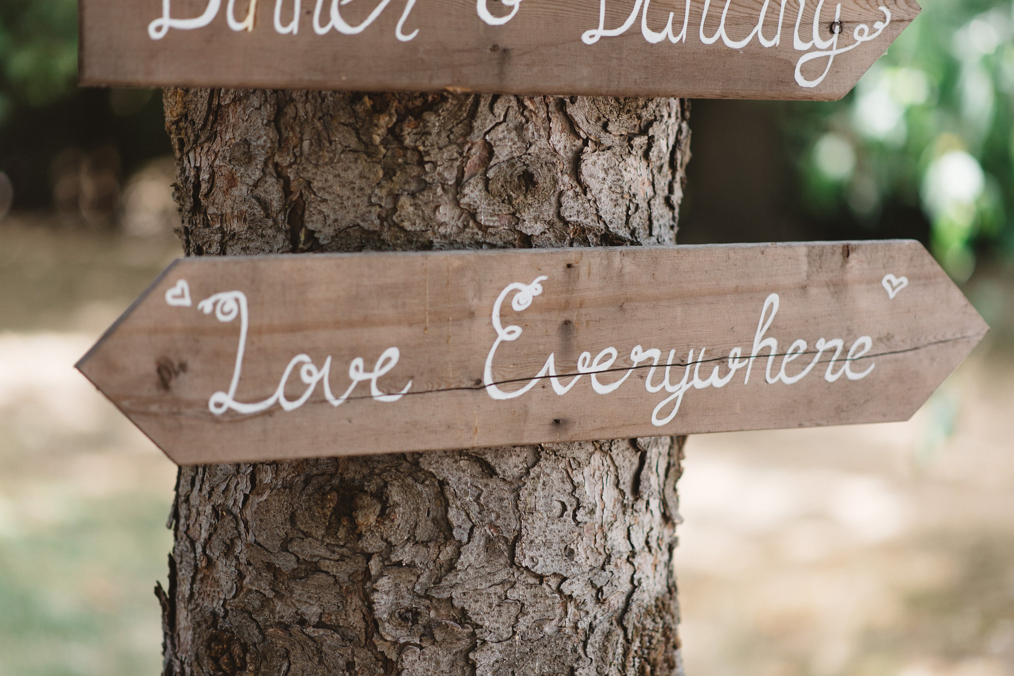 Kurtz Orchards Wedding | Olive Photography Toronto