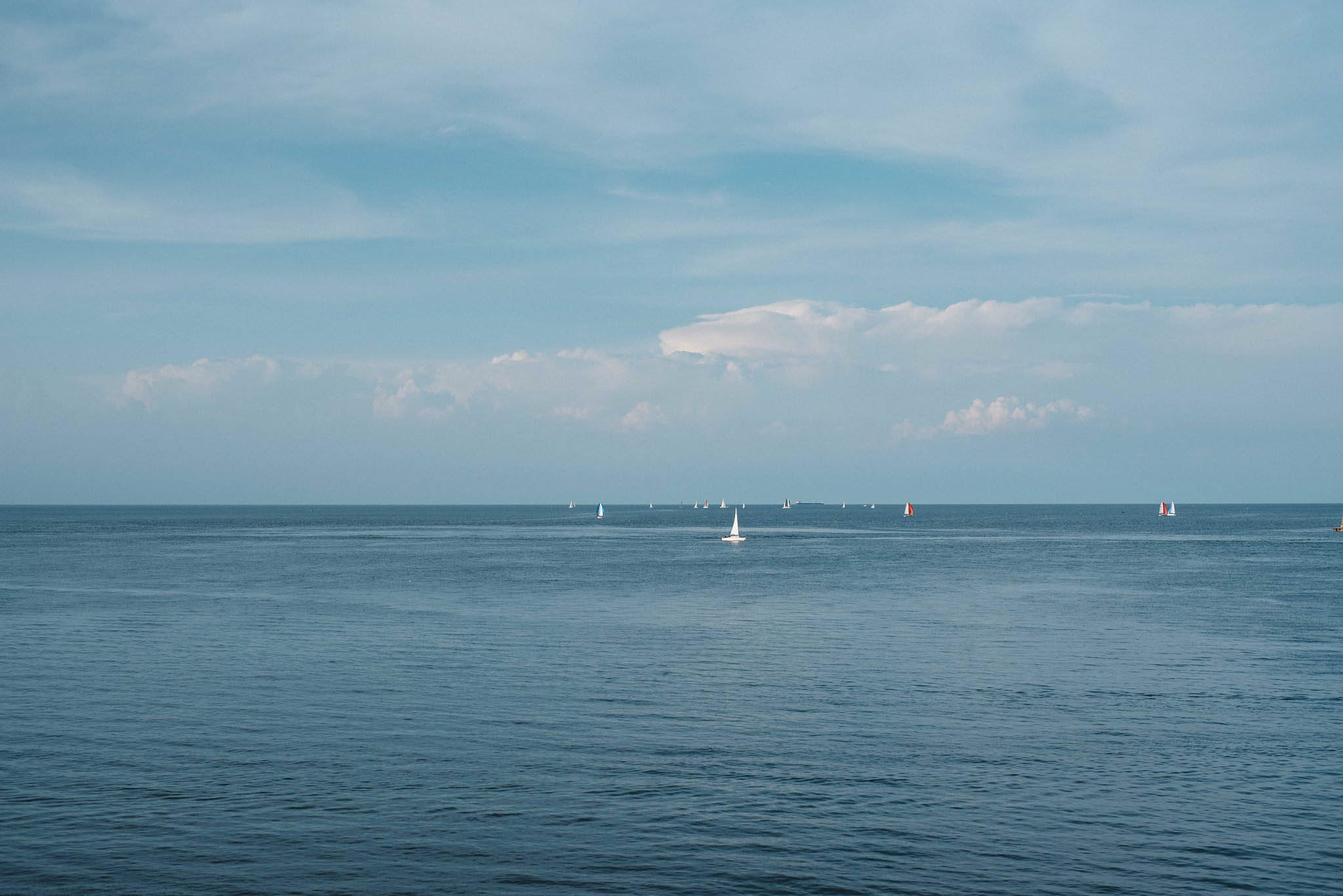 Niagara-on-the-Lake Engagement | Olive Photography