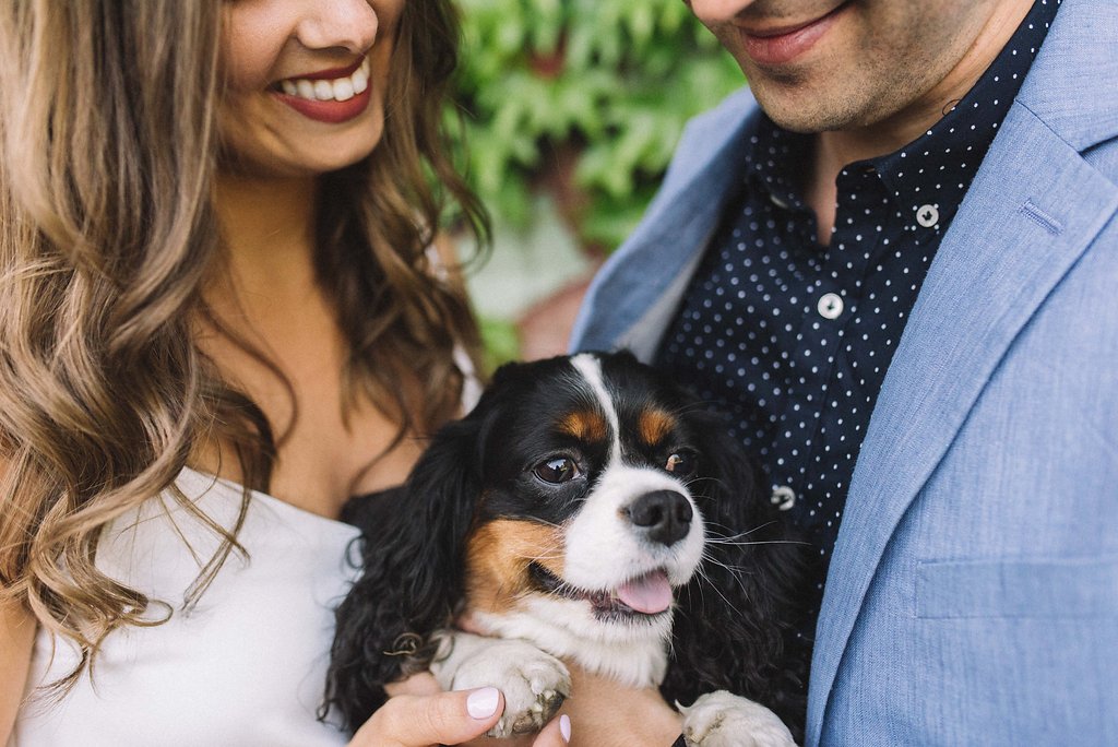 dog engagement photos - Toronto engagement photography - Olive Photography