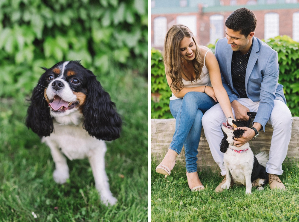 engagement photos with dog - Olive Photography Toronto 