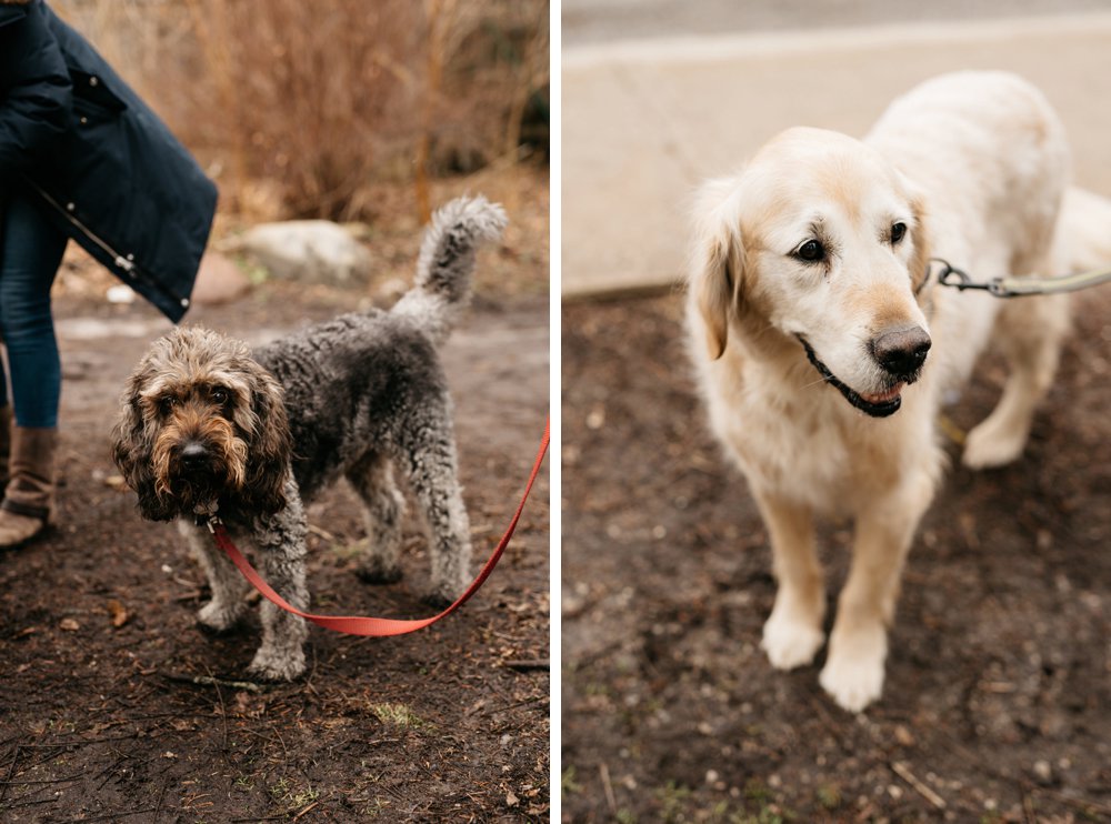 Toronto family photographer | Olive Photography