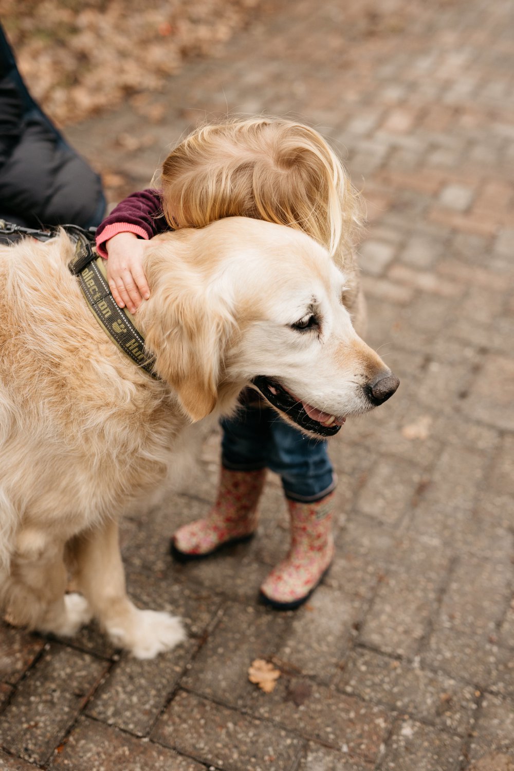 Toronto family photographer | Olive Photography