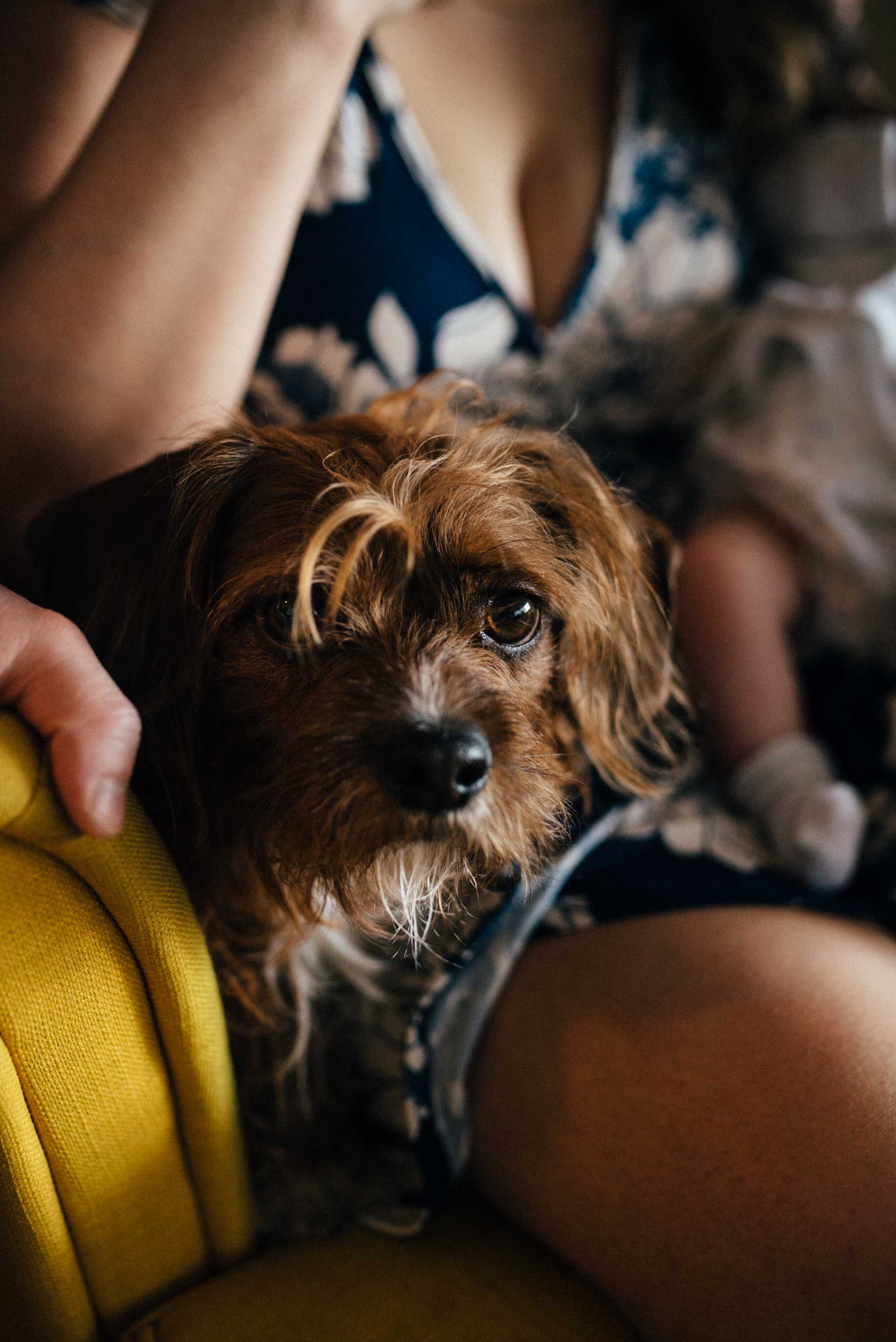 Lifestyle Toronto family photographer | Olive Photography