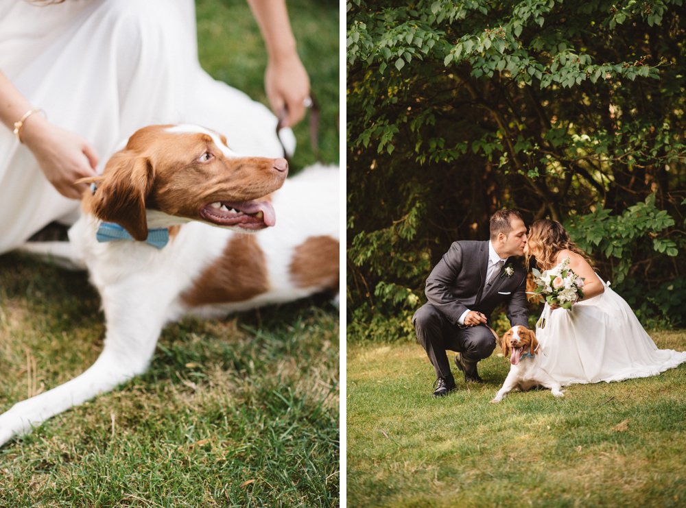 Dog at wedding photos - Alton Mill Wedding - Olive Photography Toronto