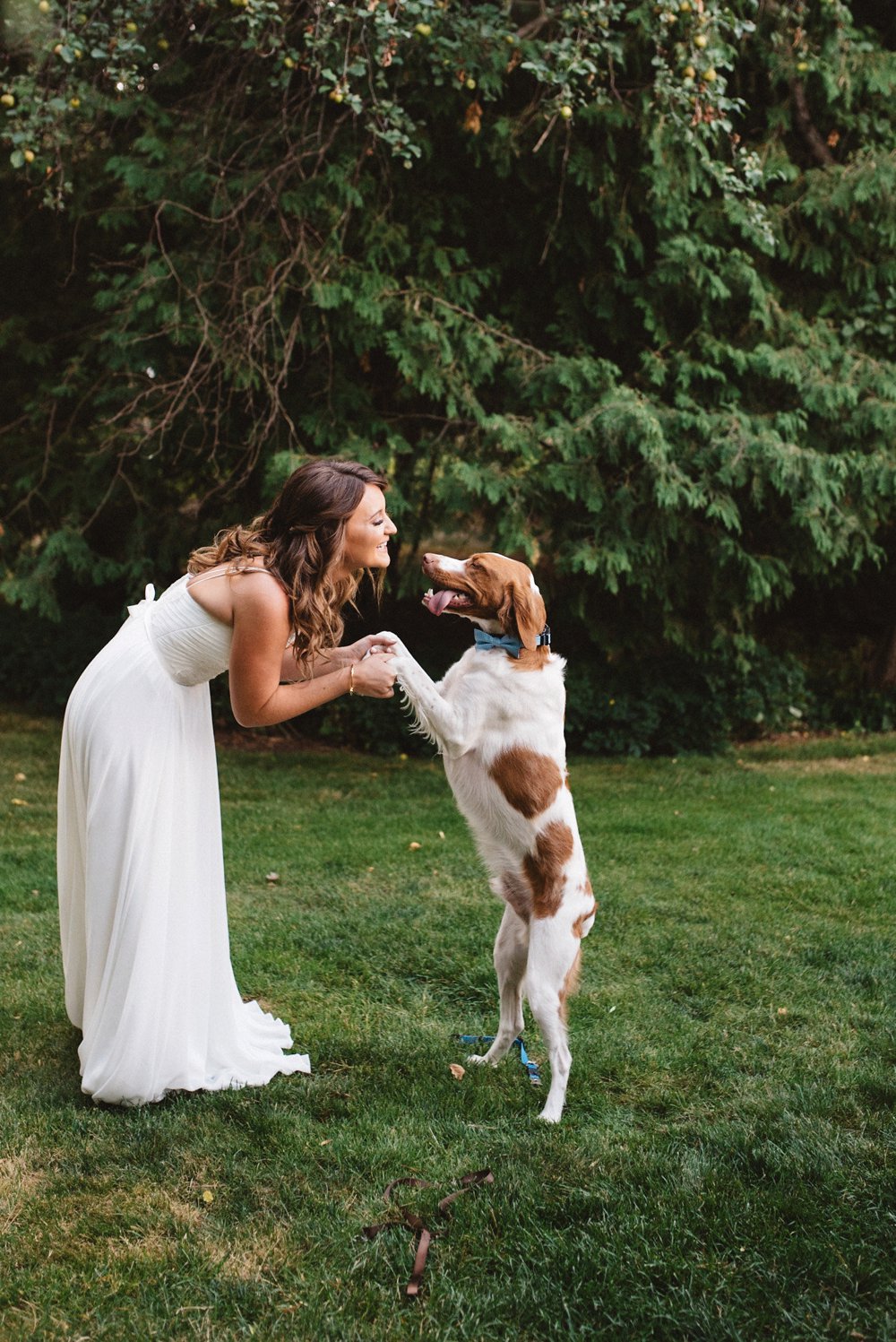 Dog at wedding photos - Olive Photography