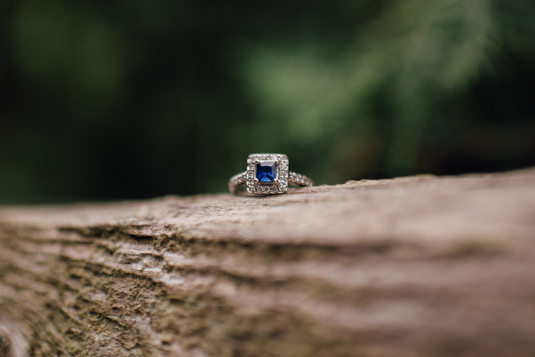 Toronto Ravine Engagement | Olive Photography